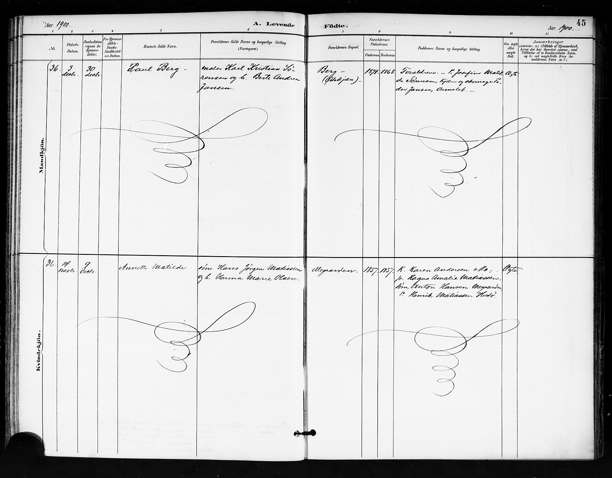 Tjøme kirkebøker, AV/SAKO-A-328/F/Fa/L0003: Parish register (official) no. I 3, 1891-1900, p. 45