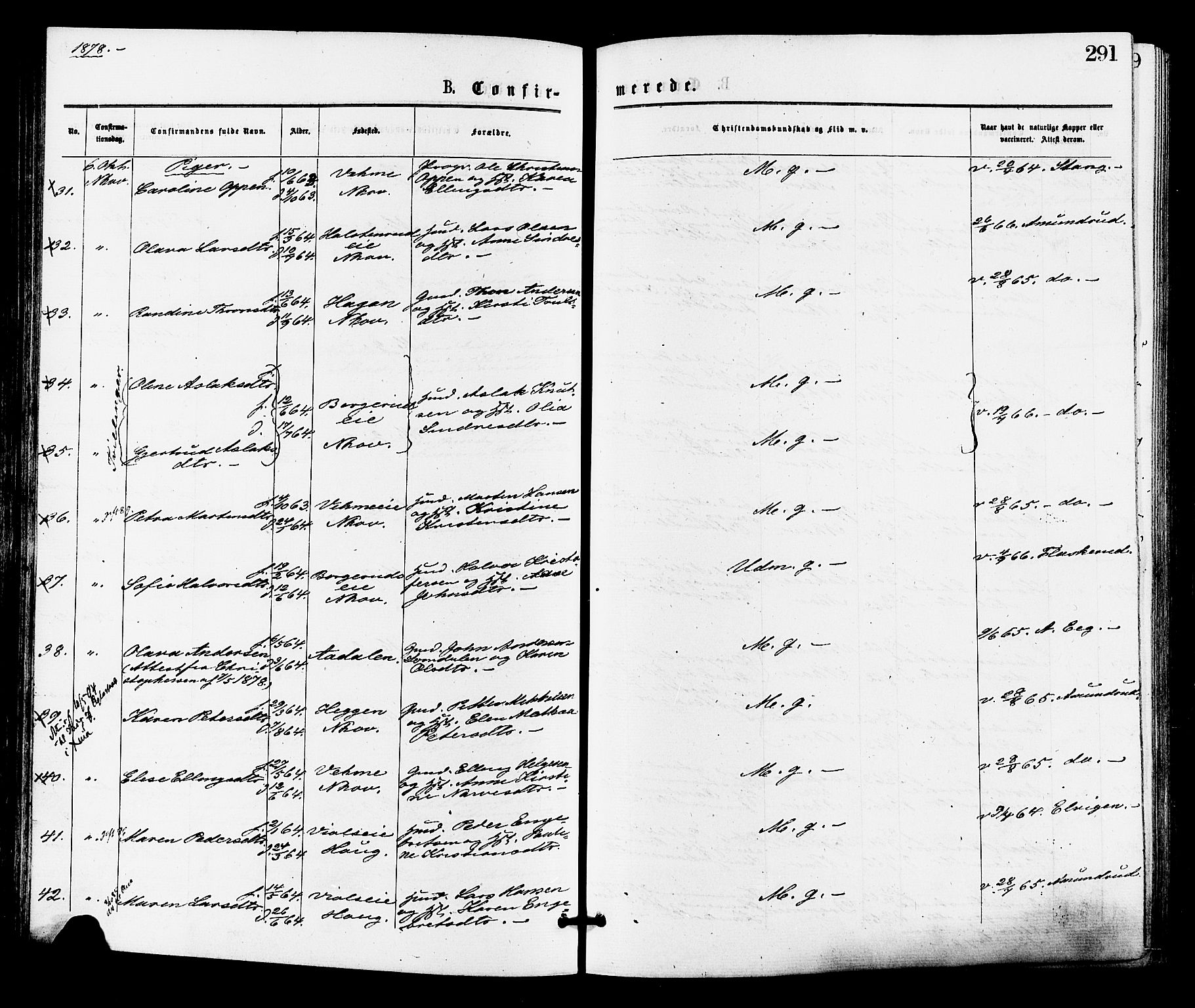 Norderhov kirkebøker, AV/SAKO-A-237/F/Fa/L0015: Parish register (official) no. 15, 1875-1884, p. 291