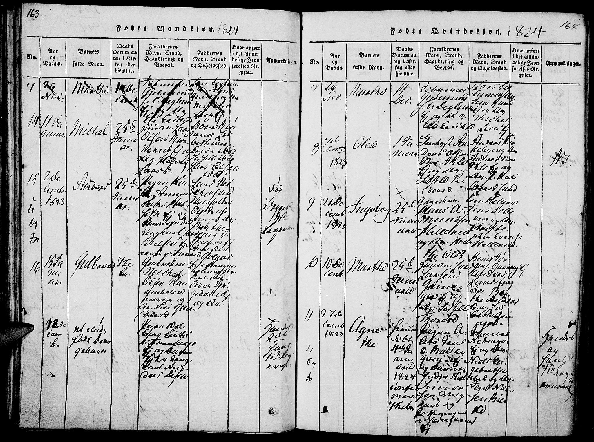 Vang prestekontor, Hedmark, AV/SAH-PREST-008/H/Ha/Haa/L0008: Parish register (official) no. 8, 1815-1826, p. 163-164