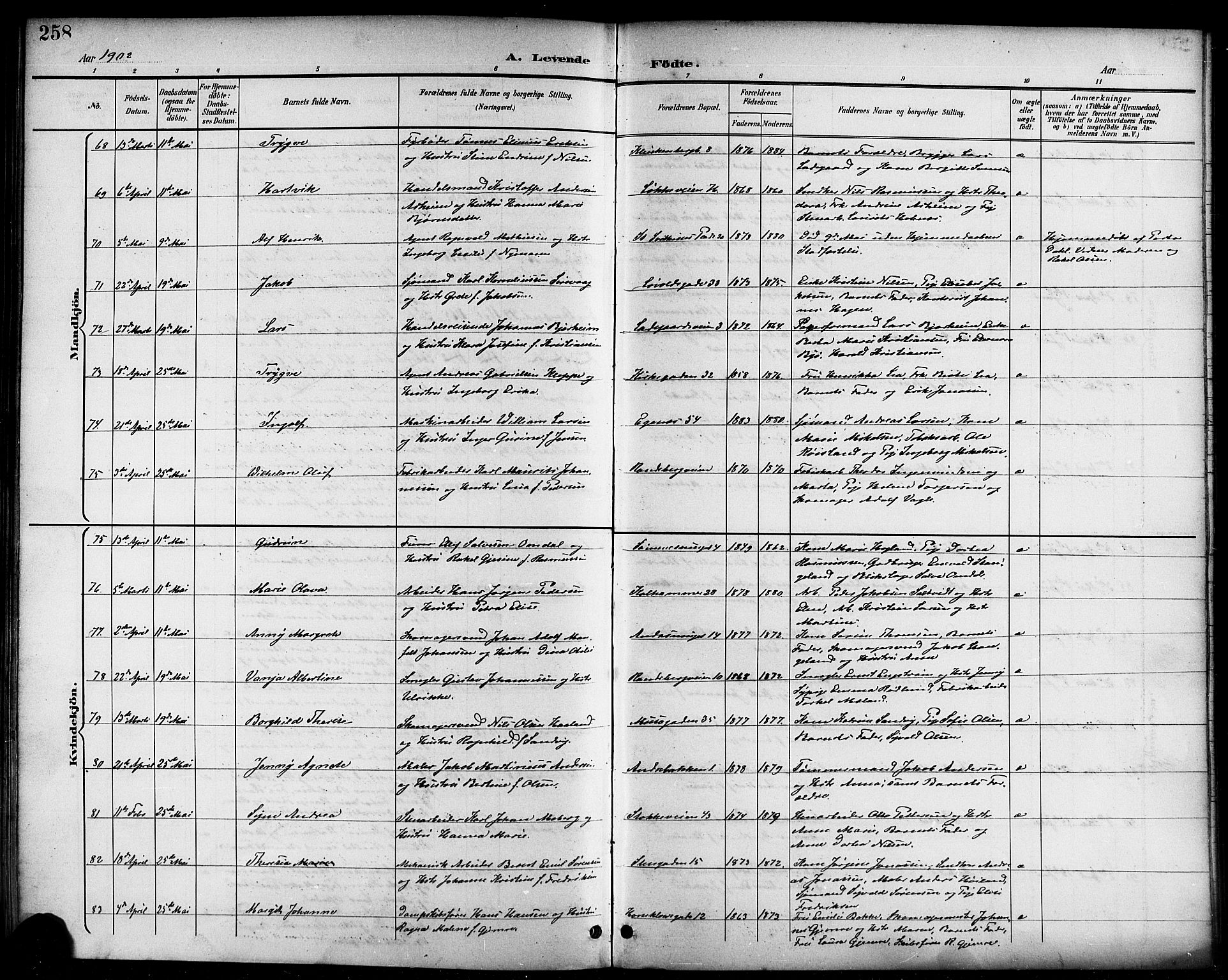 Domkirken sokneprestkontor, AV/SAST-A-101812/001/30/30BB/L0016: Parish register (copy) no. B 16, 1891-1902, p. 258