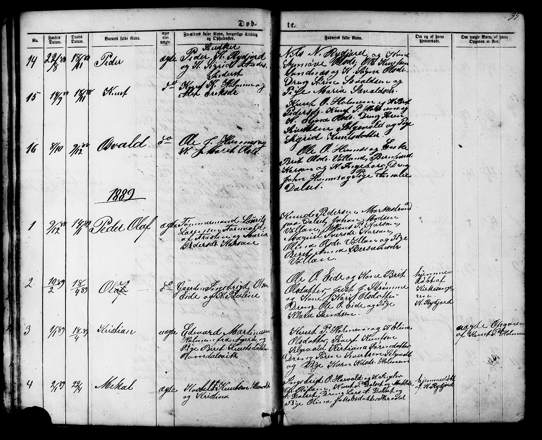 Ministerialprotokoller, klokkerbøker og fødselsregistre - Møre og Romsdal, SAT/A-1454/548/L0614: Parish register (copy) no. 548C02, 1867-1917, p. 35