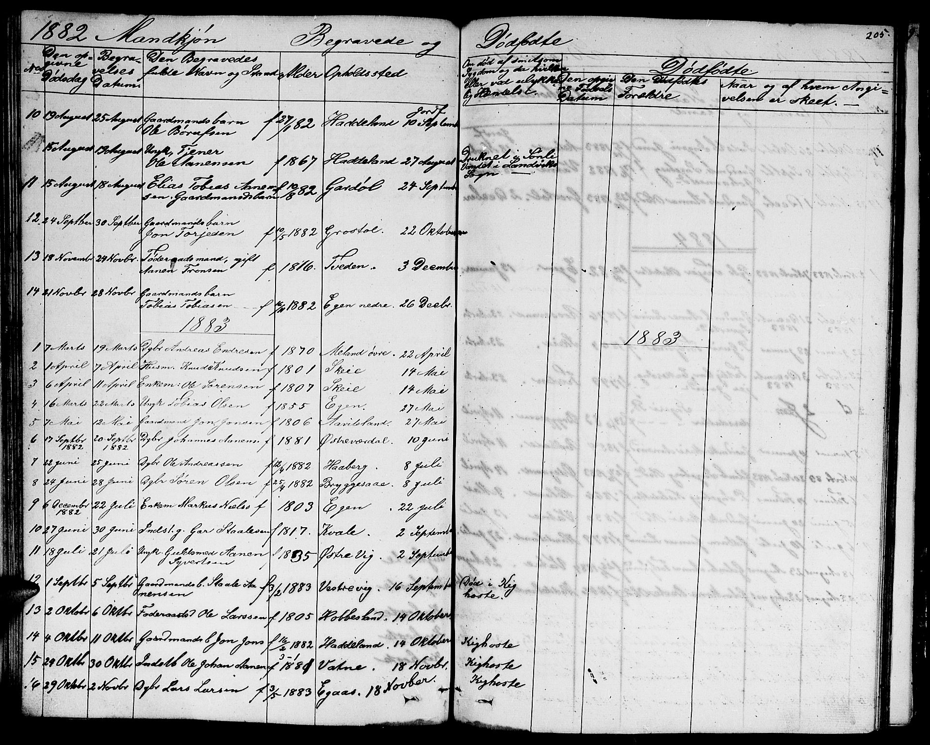 Hægebostad sokneprestkontor, AV/SAK-1111-0024/F/Fb/Fbb/L0002: Parish register (copy) no. B 2, 1851-1886, p. 205