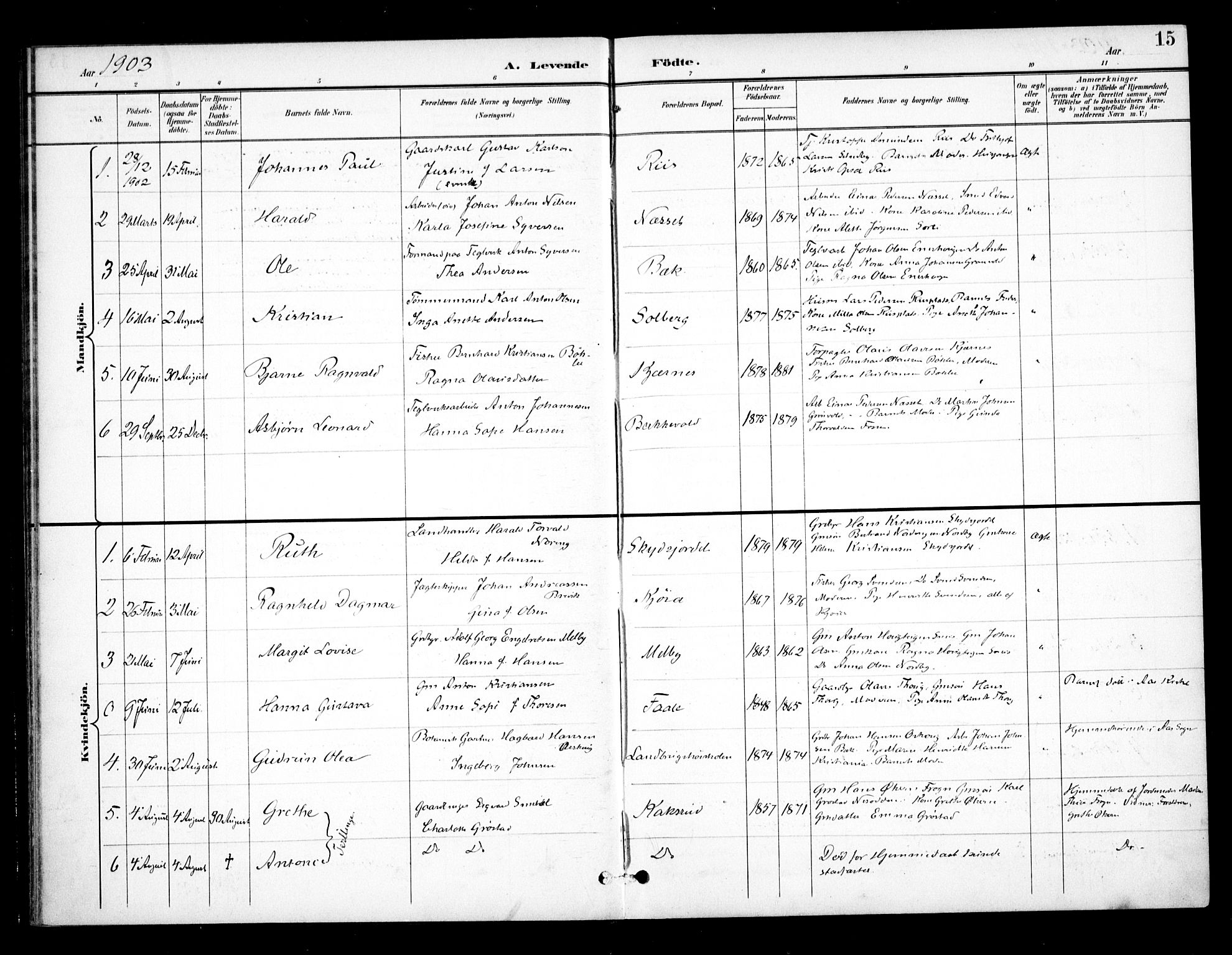 Ås prestekontor Kirkebøker, SAO/A-10894/F/Fb/L0002: Parish register (official) no. II 2, 1895-1916, p. 15