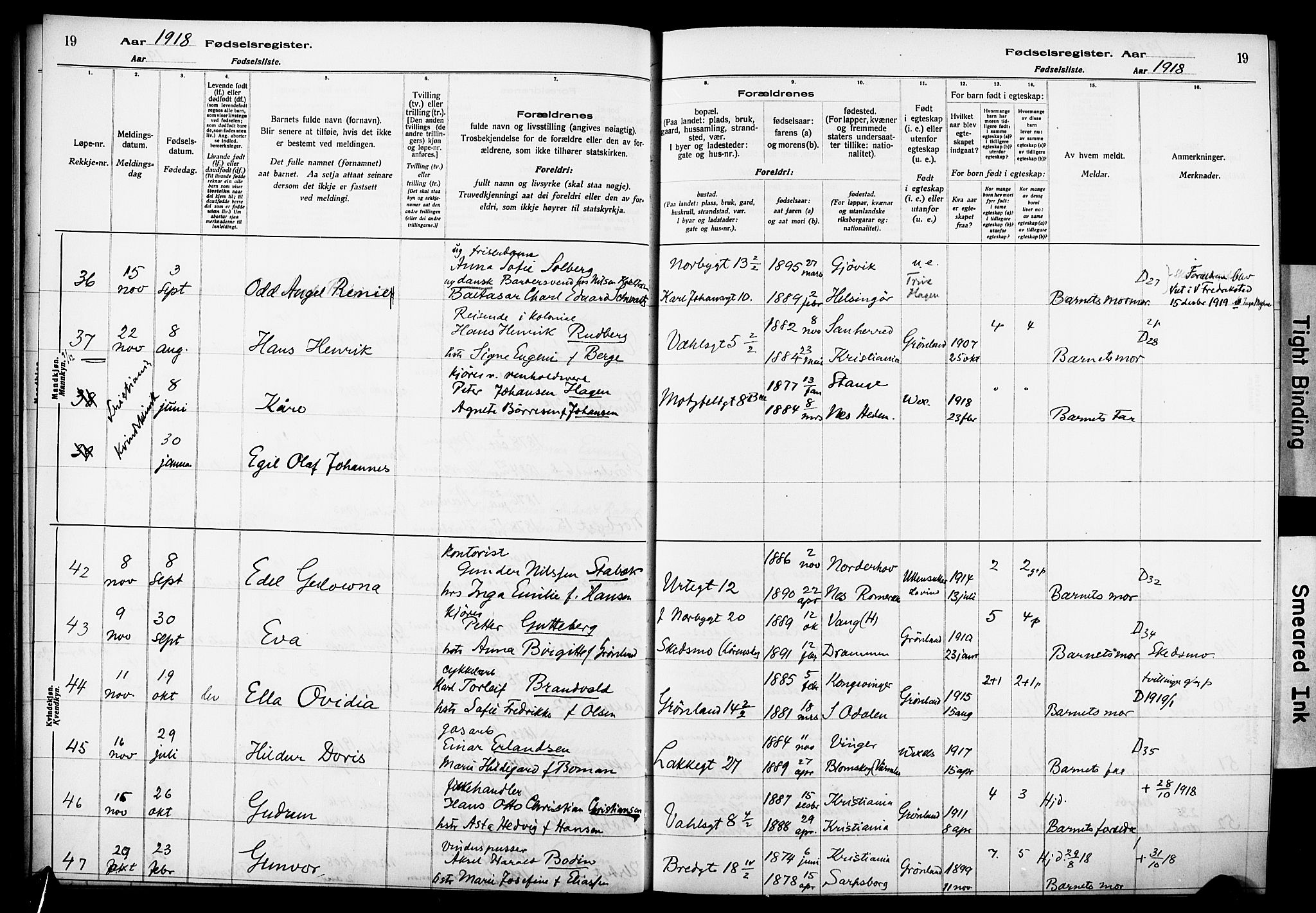 Wexel prestekontor Kirkebøker, AV/SAO-A-10879/J/L0001: Birth register no. 1, 1916-1930, p. 19