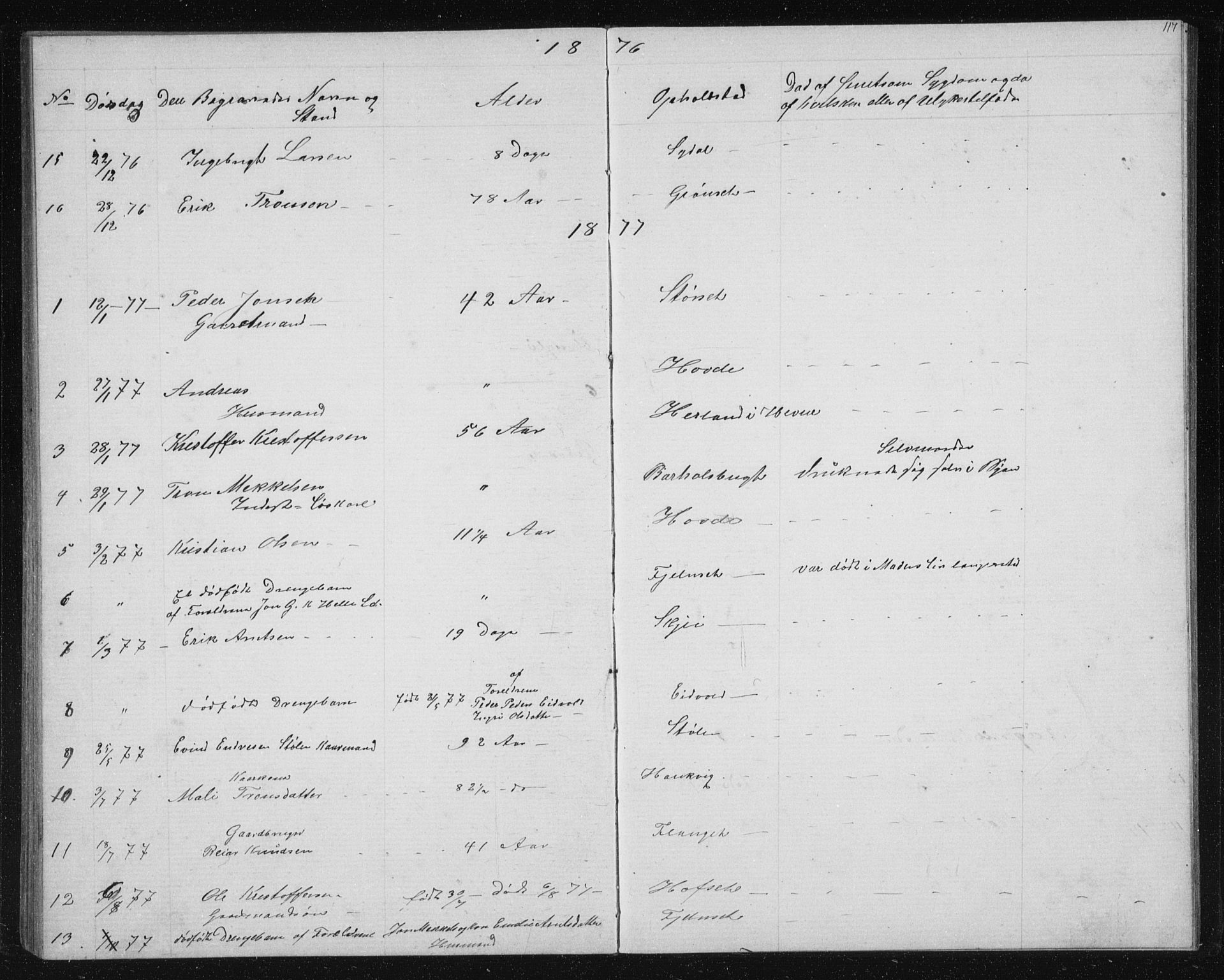 Ministerialprotokoller, klokkerbøker og fødselsregistre - Sør-Trøndelag, SAT/A-1456/631/L0513: Parish register (copy) no. 631C01, 1869-1879, p. 117