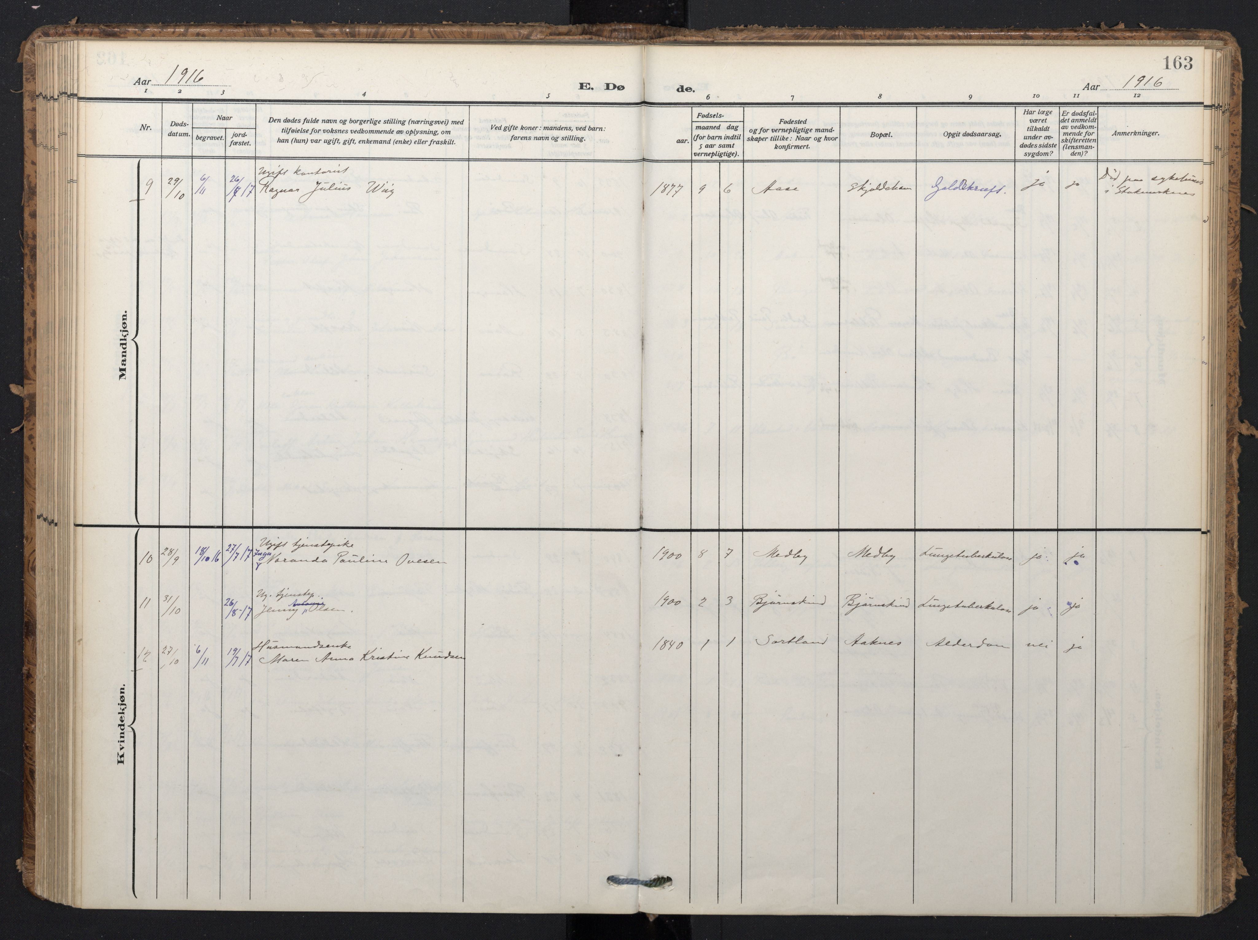 Ministerialprotokoller, klokkerbøker og fødselsregistre - Nordland, SAT/A-1459/898/L1423: Parish register (official) no. 898A03, 1909-1928, p. 163