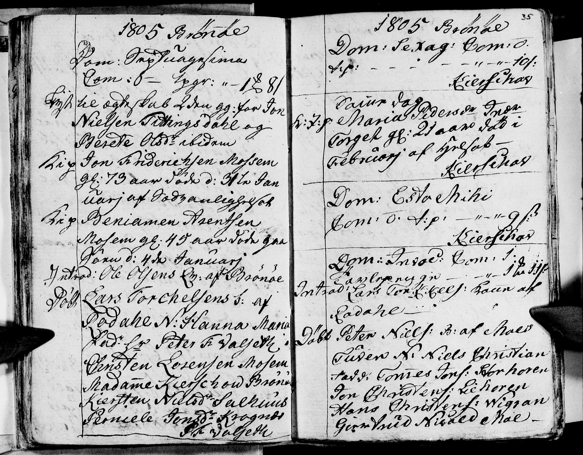 Ministerialprotokoller, klokkerbøker og fødselsregistre - Nordland, AV/SAT-A-1459/813/L0209: Parish register (copy) no. 813C01, 1803-1821, p. 35