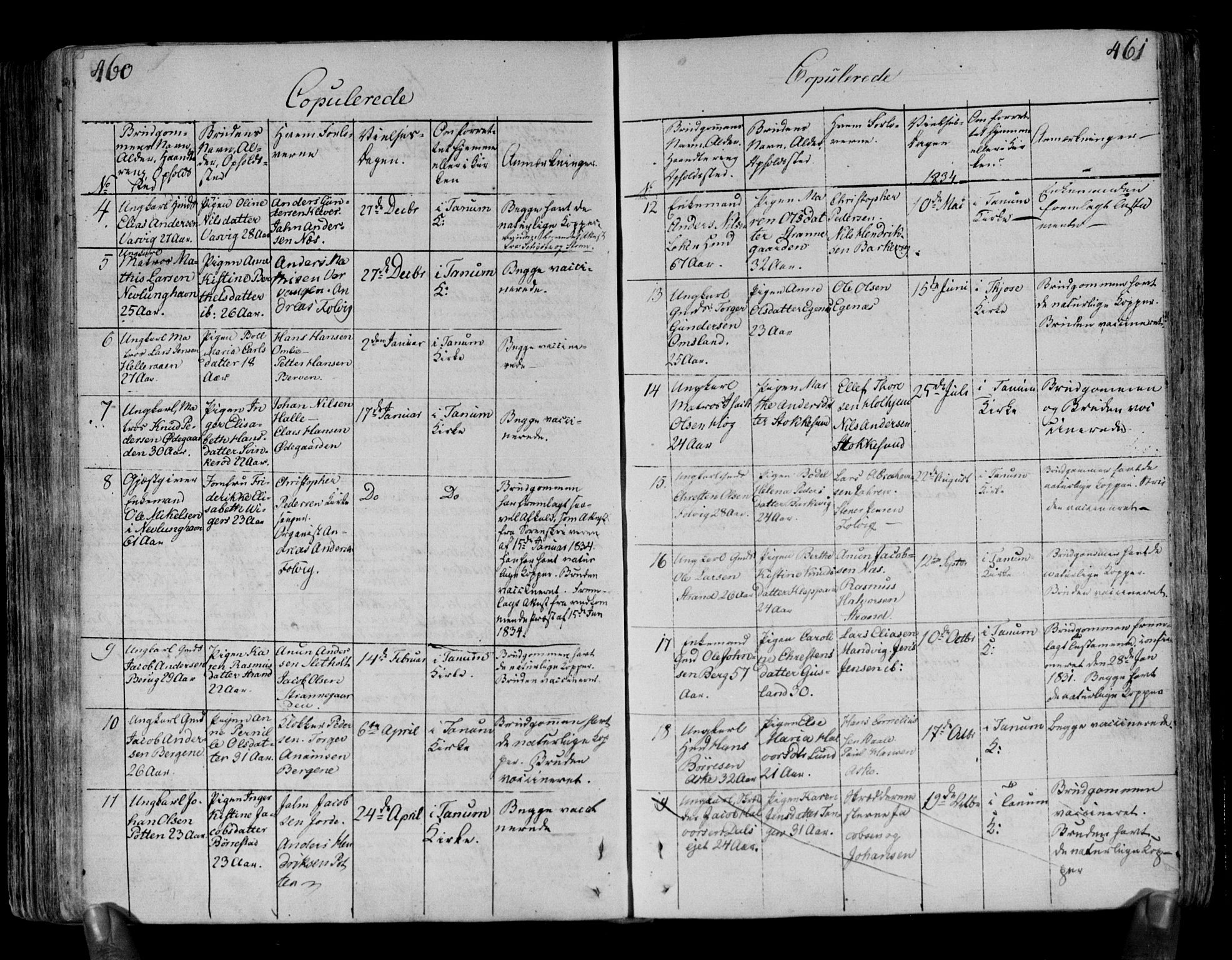 Brunlanes kirkebøker, AV/SAKO-A-342/F/Fa/L0002: Parish register (official) no. I 2, 1802-1834, p. 460-461