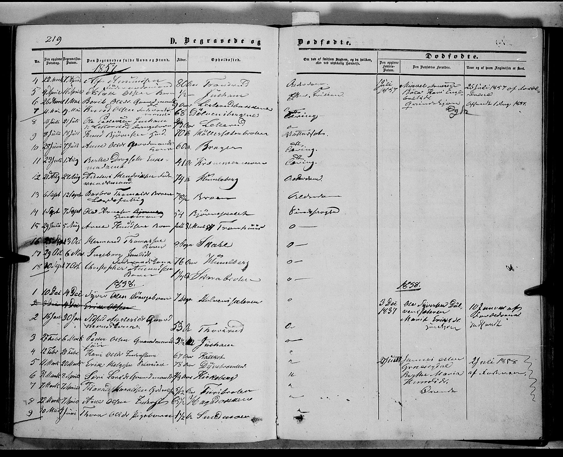 Sør-Aurdal prestekontor, SAH/PREST-128/H/Ha/Haa/L0005: Parish register (official) no. 5, 1849-1876, p. 219