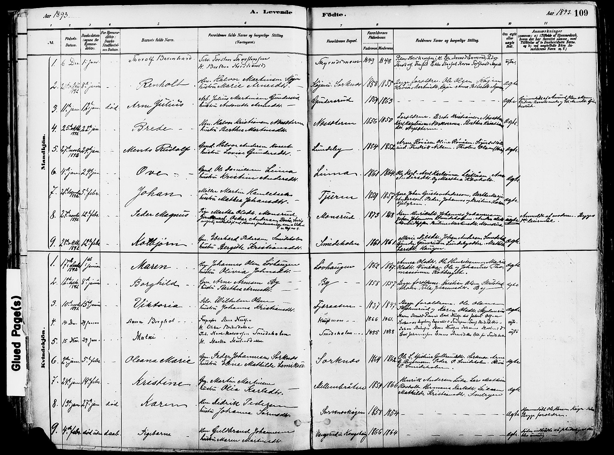 Grue prestekontor, SAH/PREST-036/H/Ha/Haa/L0012: Parish register (official) no. 12, 1881-1897, p. 109