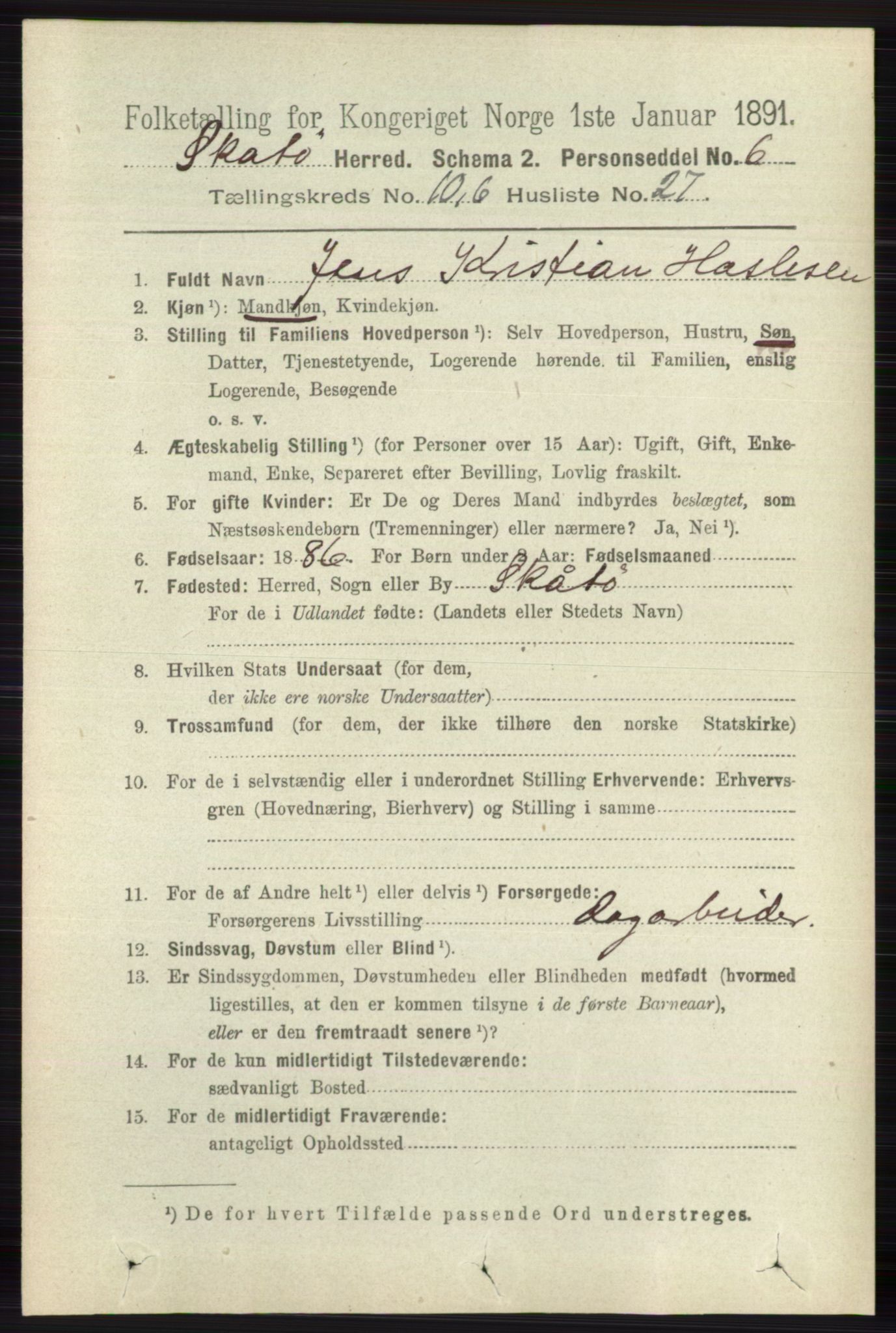 RA, 1891 census for 0815 Skåtøy, 1891, p. 4205