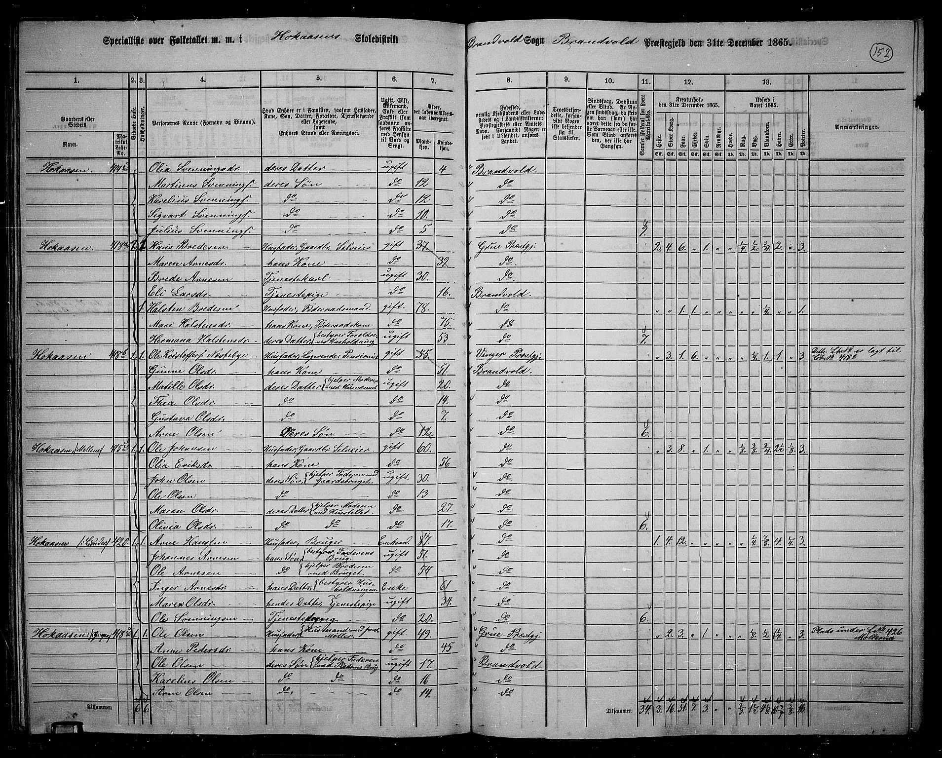 RA, 1865 census for Brandval, 1865, p. 129