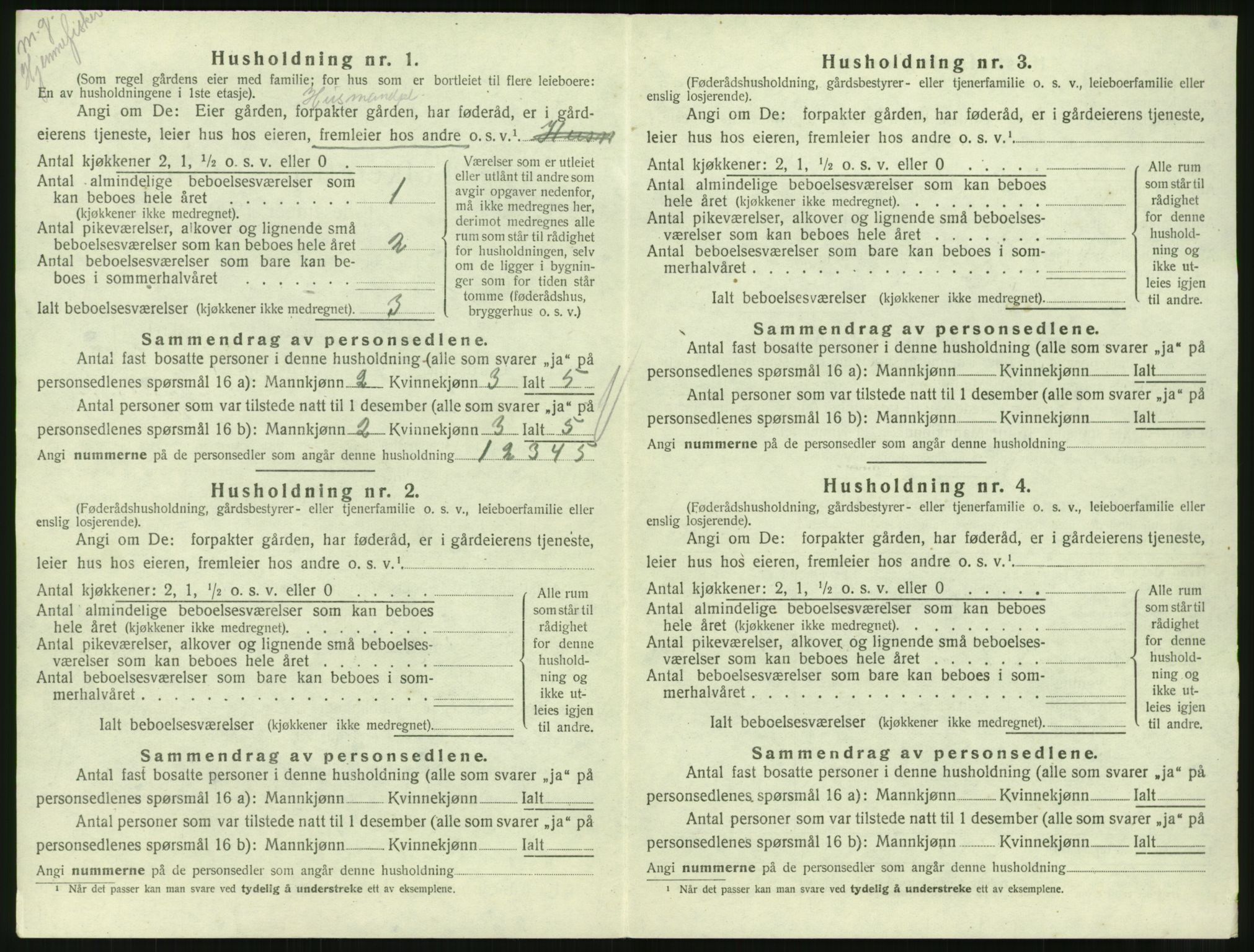 SAT, 1920 census for Straumsnes, 1920, p. 216