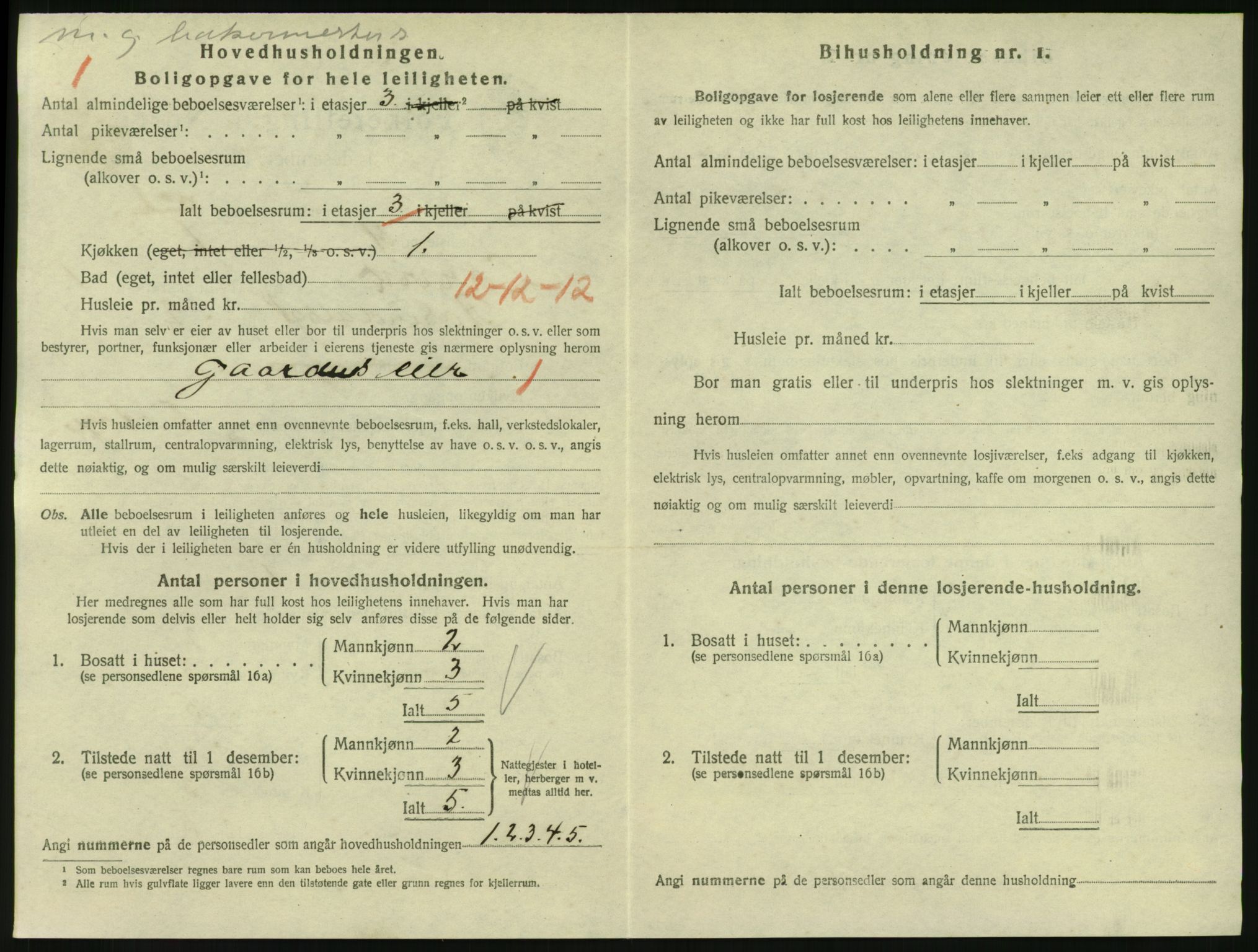 SAKO, 1920 census for Larvik, 1920, p. 3121