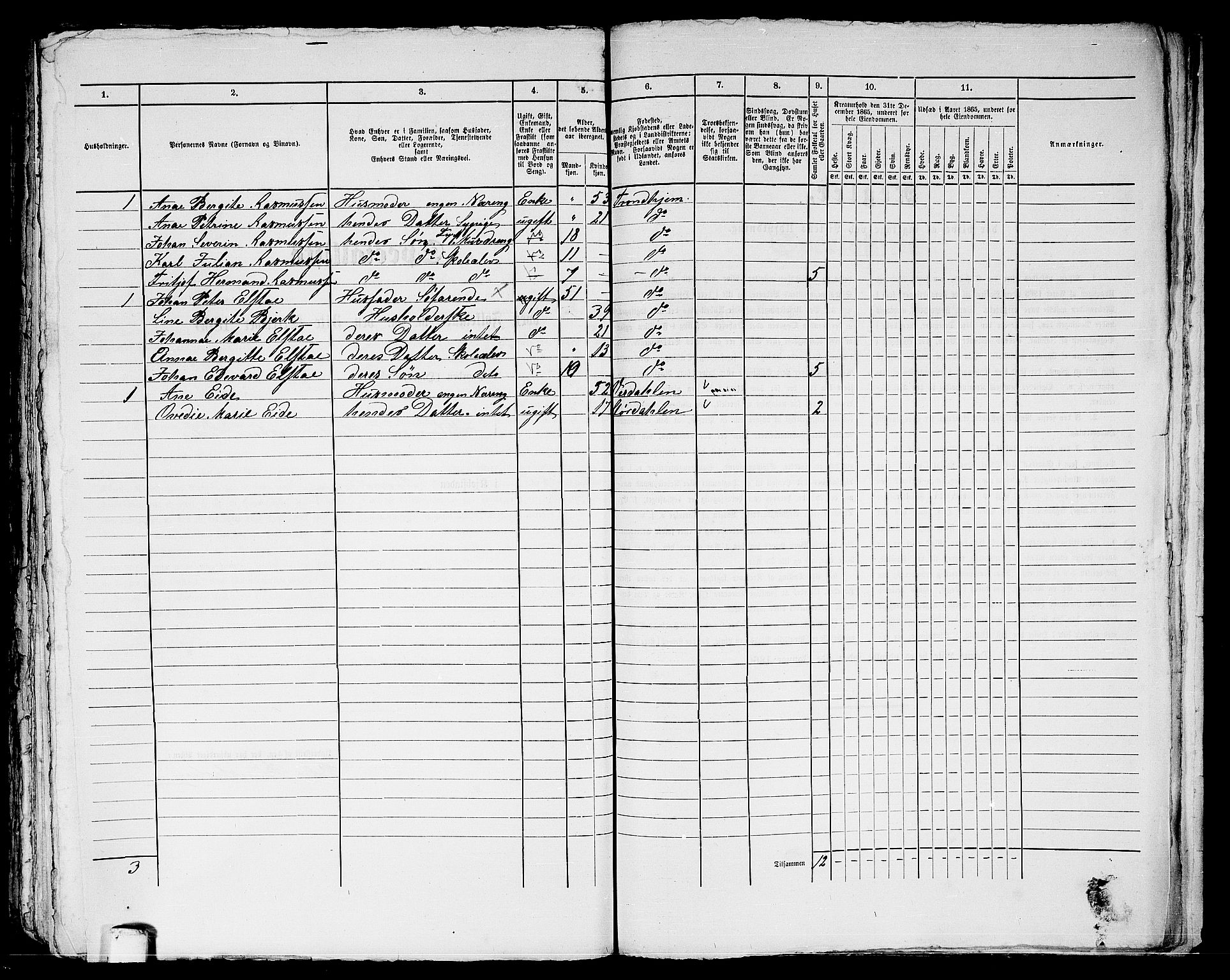 RA, 1865 census for Trondheim, 1865, p. 2050