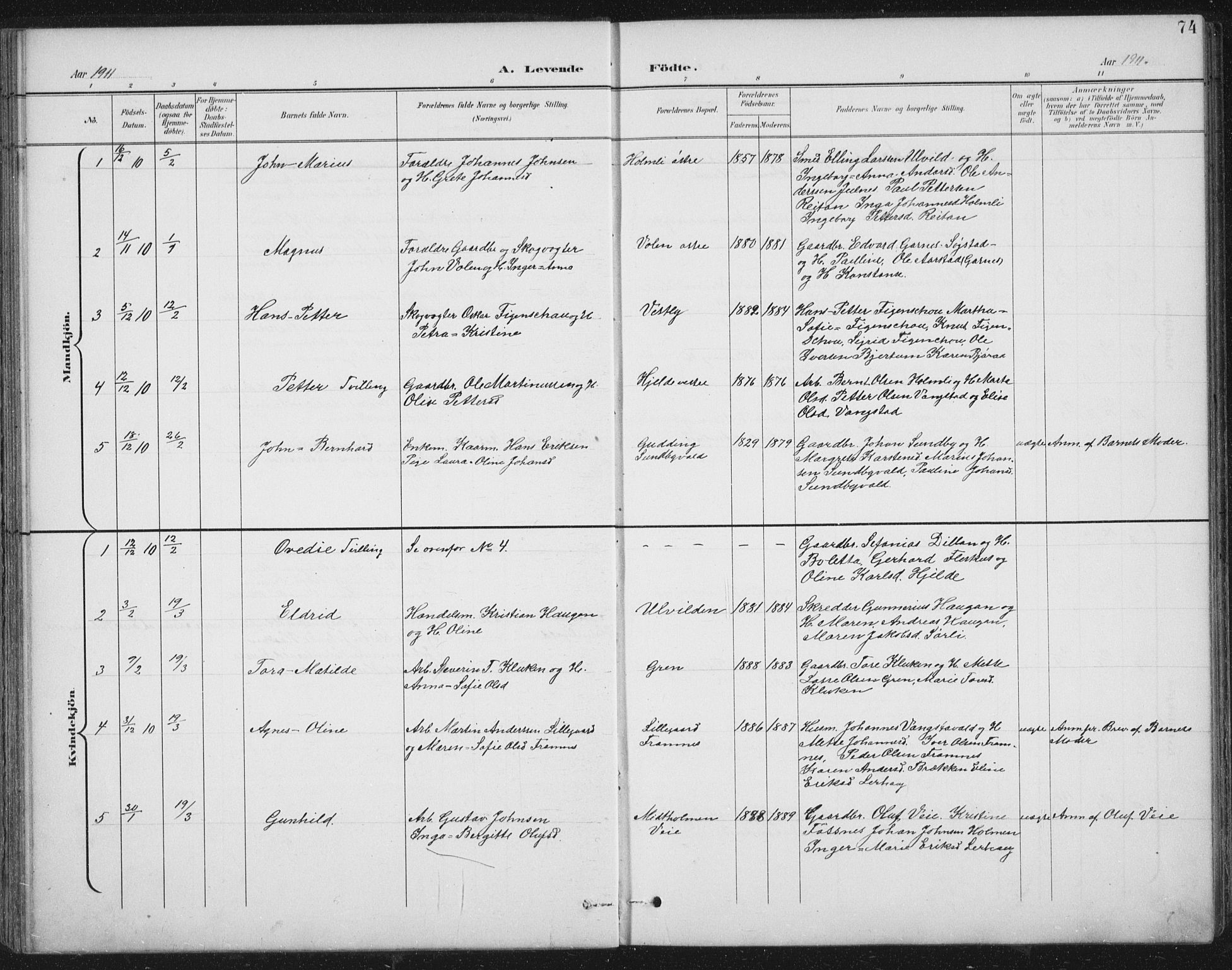Ministerialprotokoller, klokkerbøker og fødselsregistre - Nord-Trøndelag, SAT/A-1458/724/L0269: Parish register (copy) no. 724C05, 1899-1920, p. 74