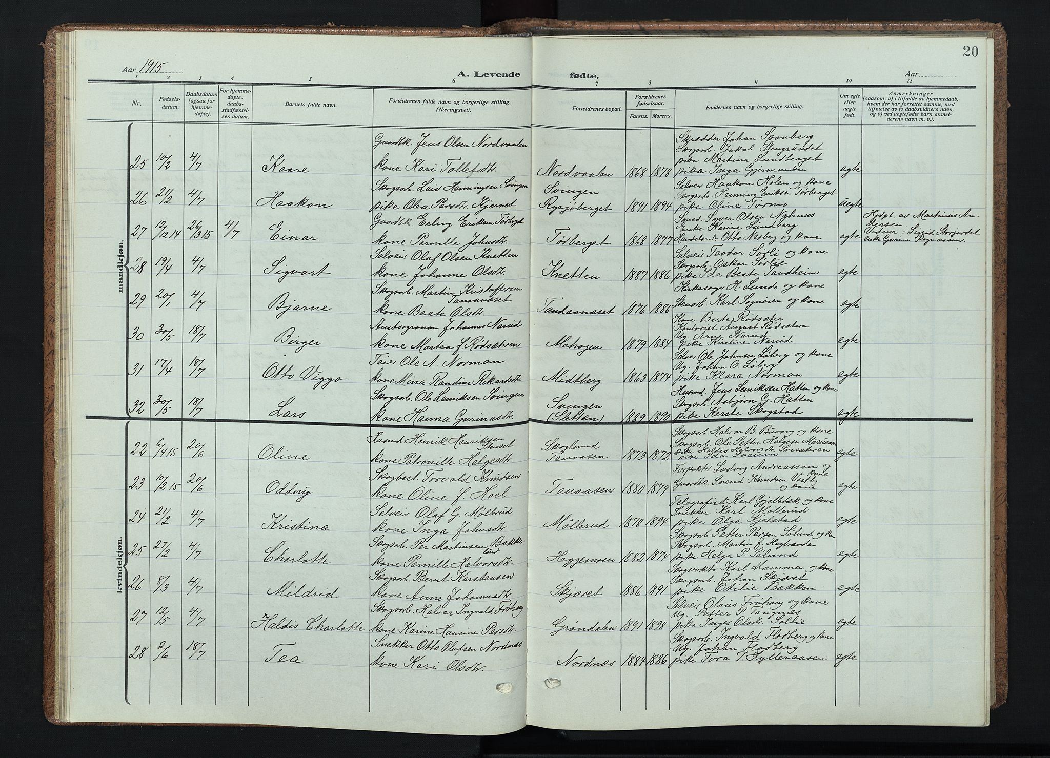 Trysil prestekontor, AV/SAH-PREST-046/H/Ha/Haa/L0015: Parish register (official) no. 15, 1913-1934, p. 20