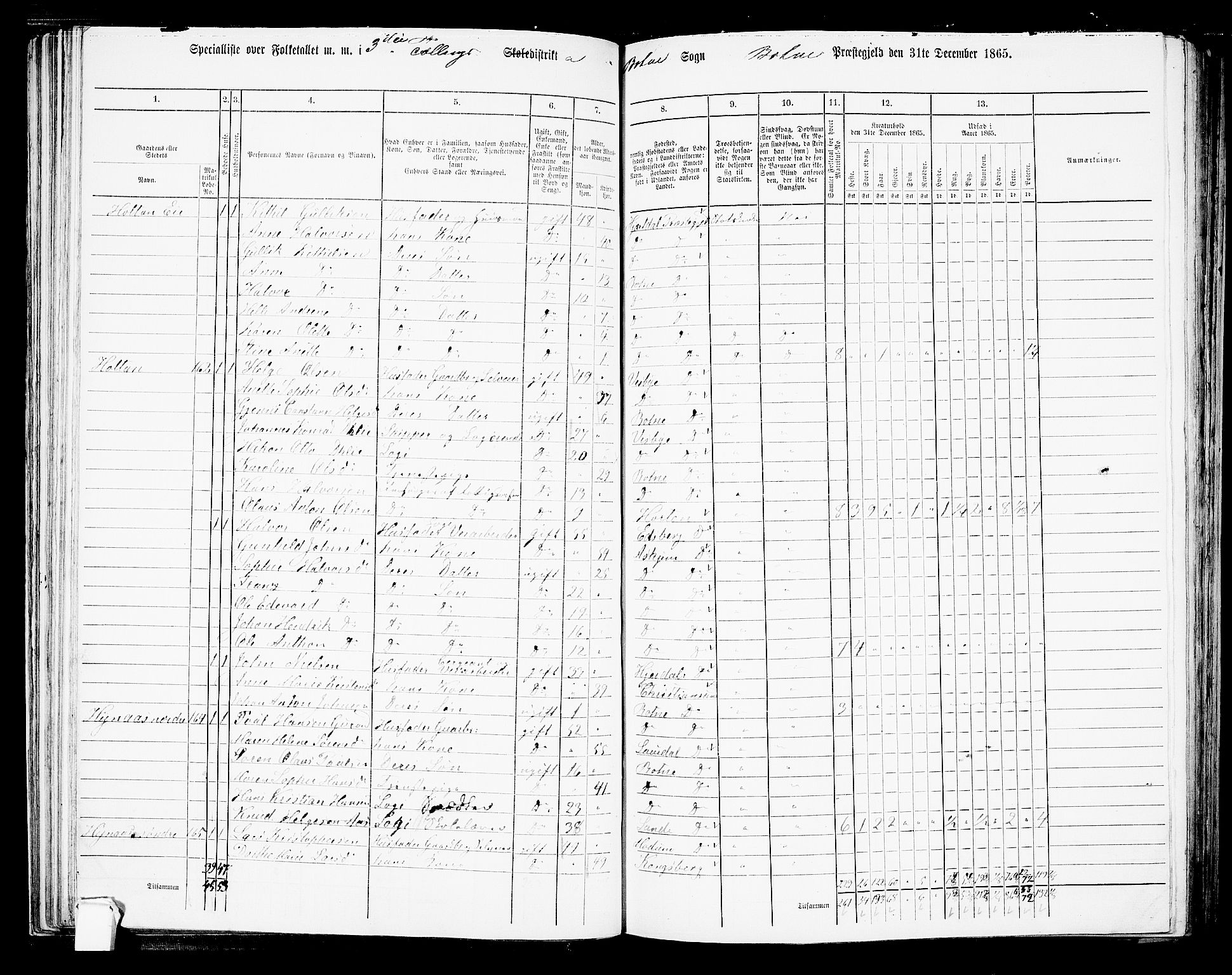 RA, 1865 census for Botne/Botne og Hillestad, 1865, p. 63