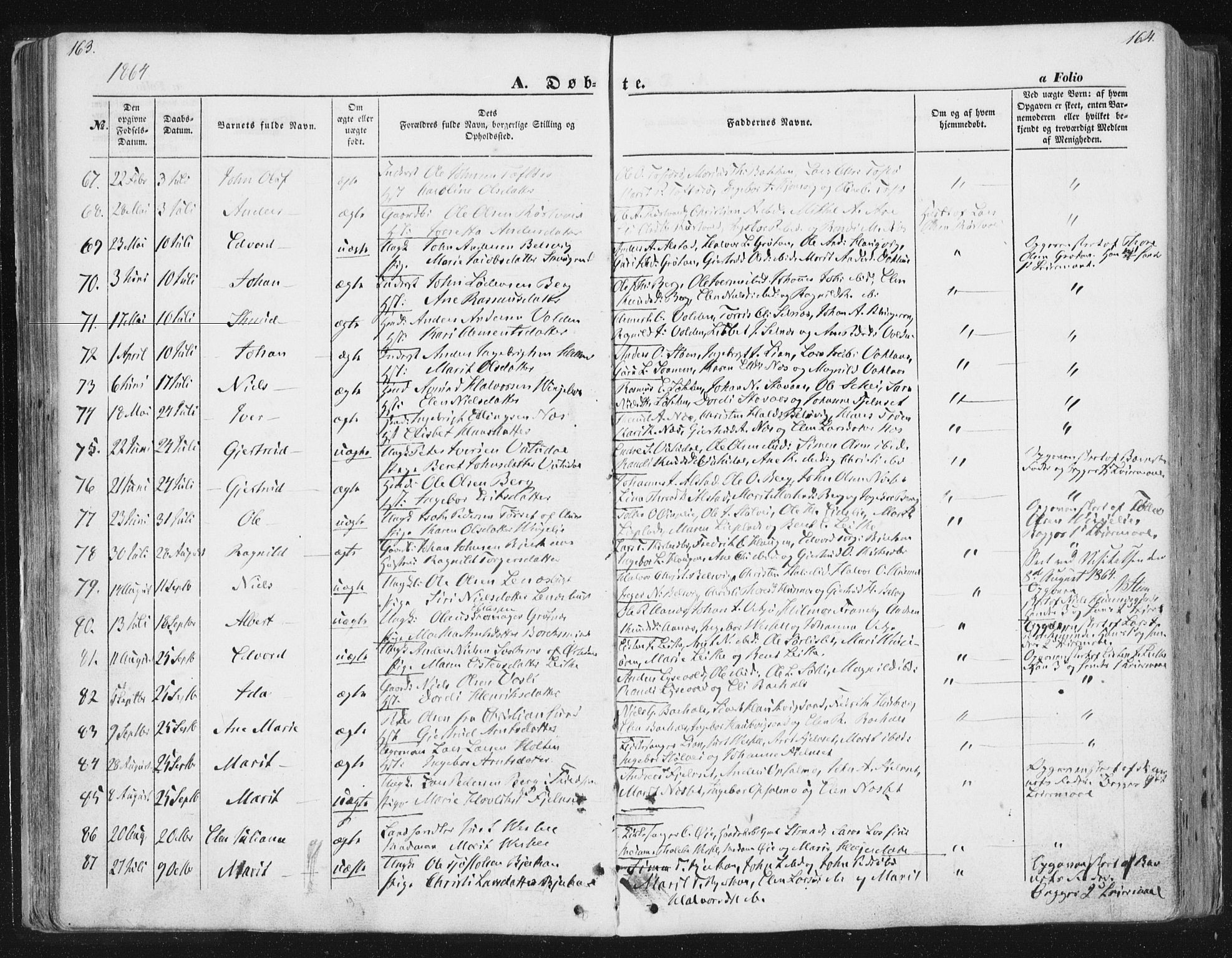 Ministerialprotokoller, klokkerbøker og fødselsregistre - Sør-Trøndelag, AV/SAT-A-1456/630/L0494: Parish register (official) no. 630A07, 1852-1868, p. 163-164