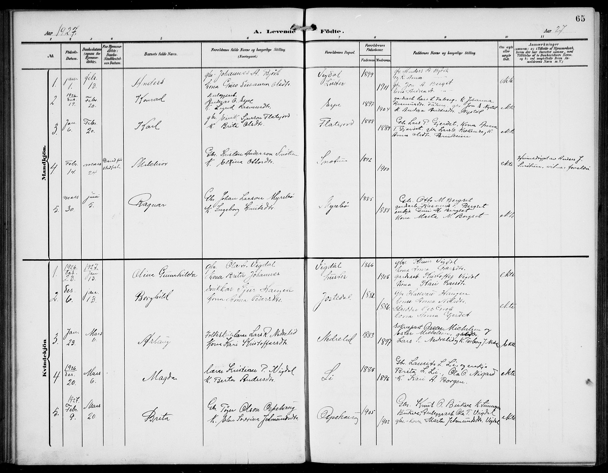 Jostedal sokneprestembete, AV/SAB-A-80601/H/Hab/Haba/L0002: Parish register (copy) no. A 2, 1907-1931, p. 65