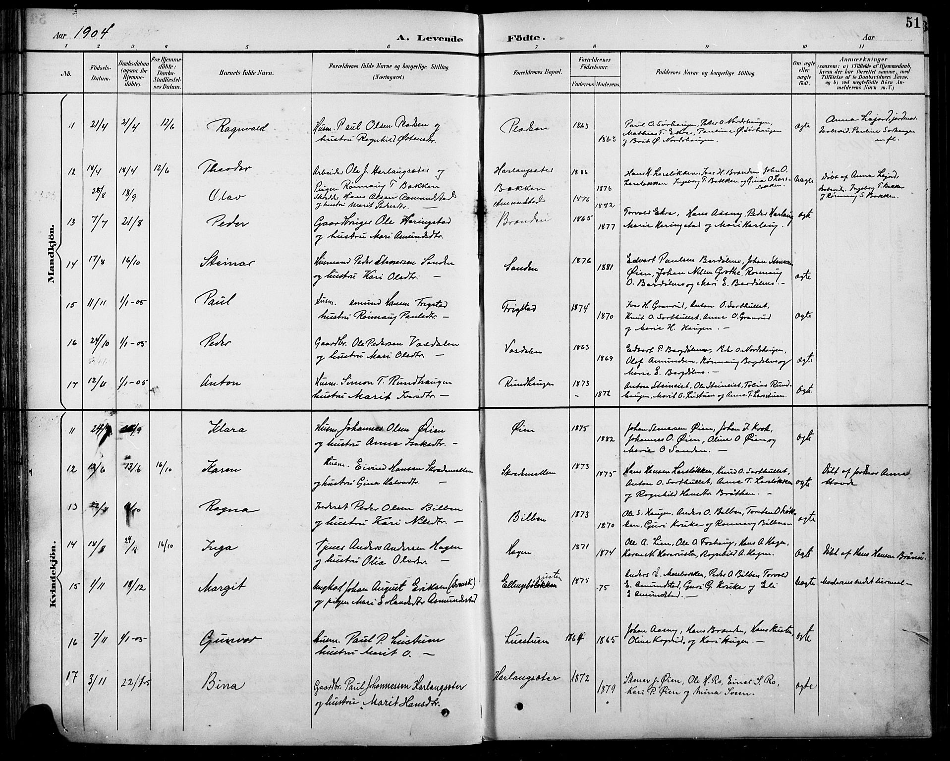 Sel prestekontor, AV/SAH-PREST-074/H/Ha/Hab/L0005: Parish register (copy) no. 5, 1894-1923, p. 51