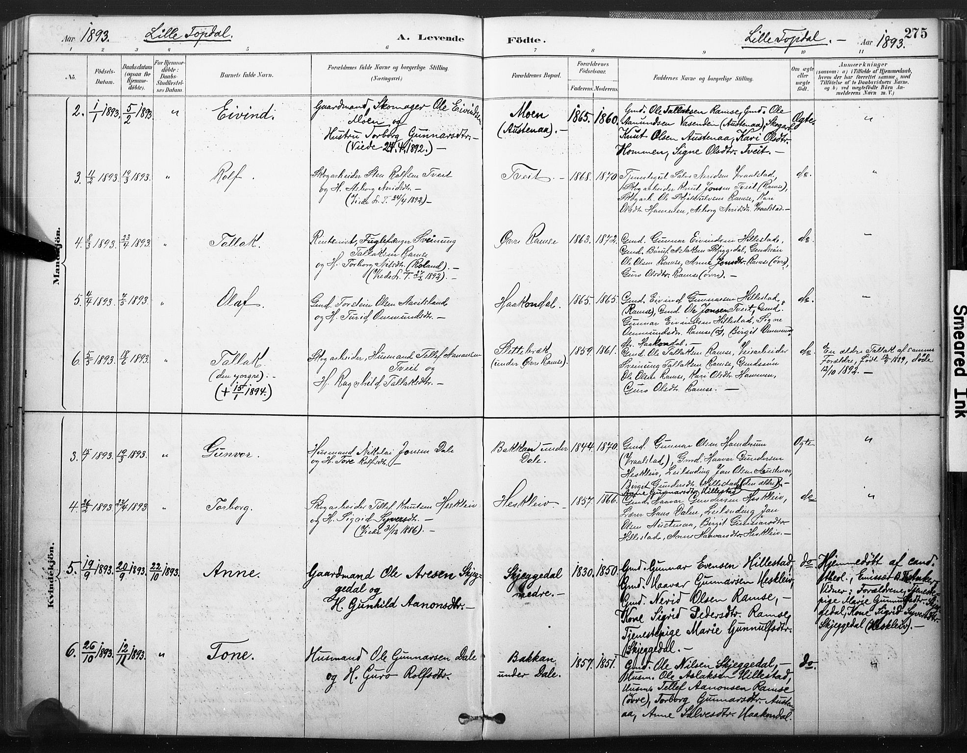 Åmli sokneprestkontor, AV/SAK-1111-0050/F/Fa/Fac/L0010: Parish register (official) no. A 10 /3, 1885-1899, p. 275