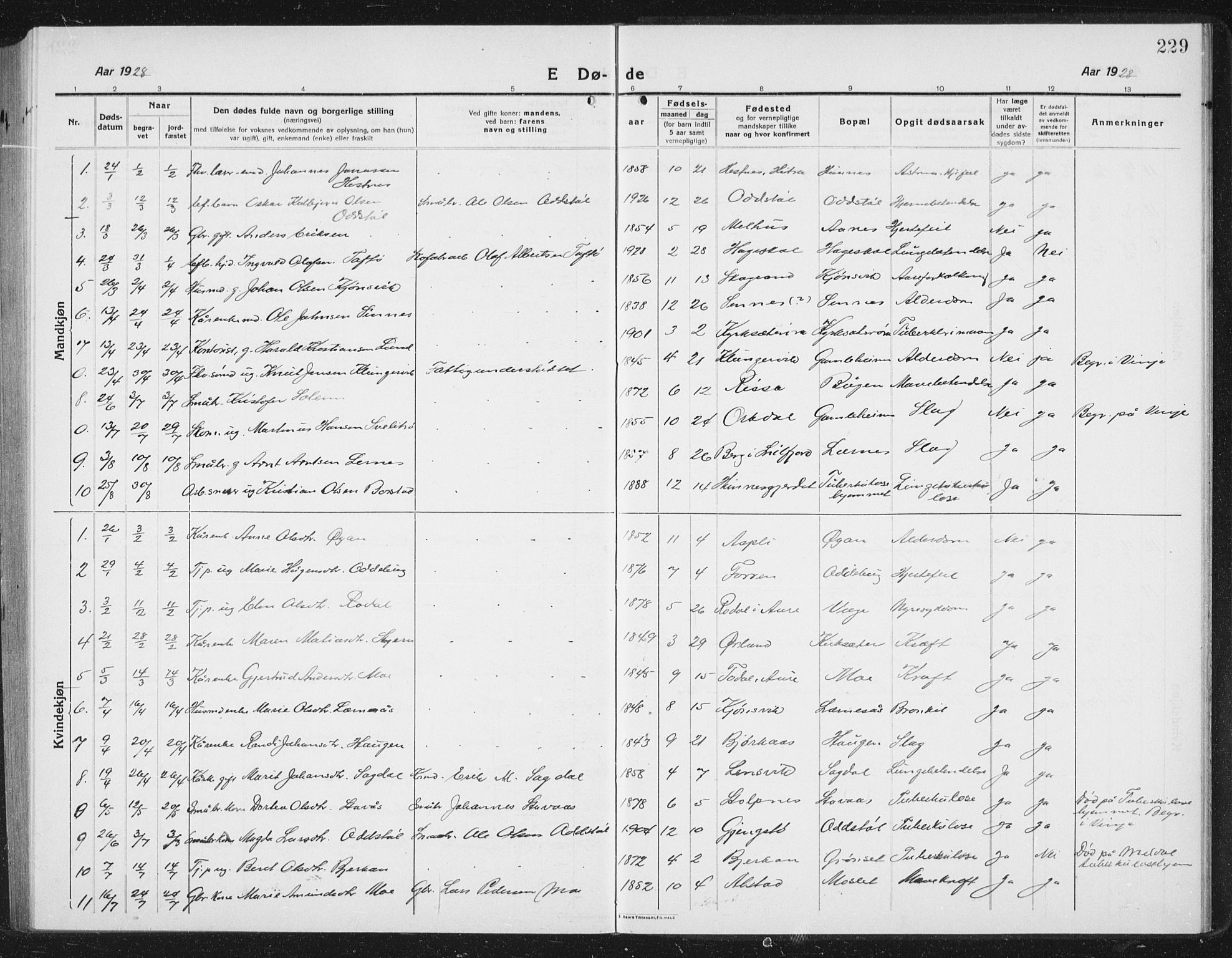 Ministerialprotokoller, klokkerbøker og fødselsregistre - Sør-Trøndelag, SAT/A-1456/630/L0506: Parish register (copy) no. 630C04, 1914-1933, p. 229