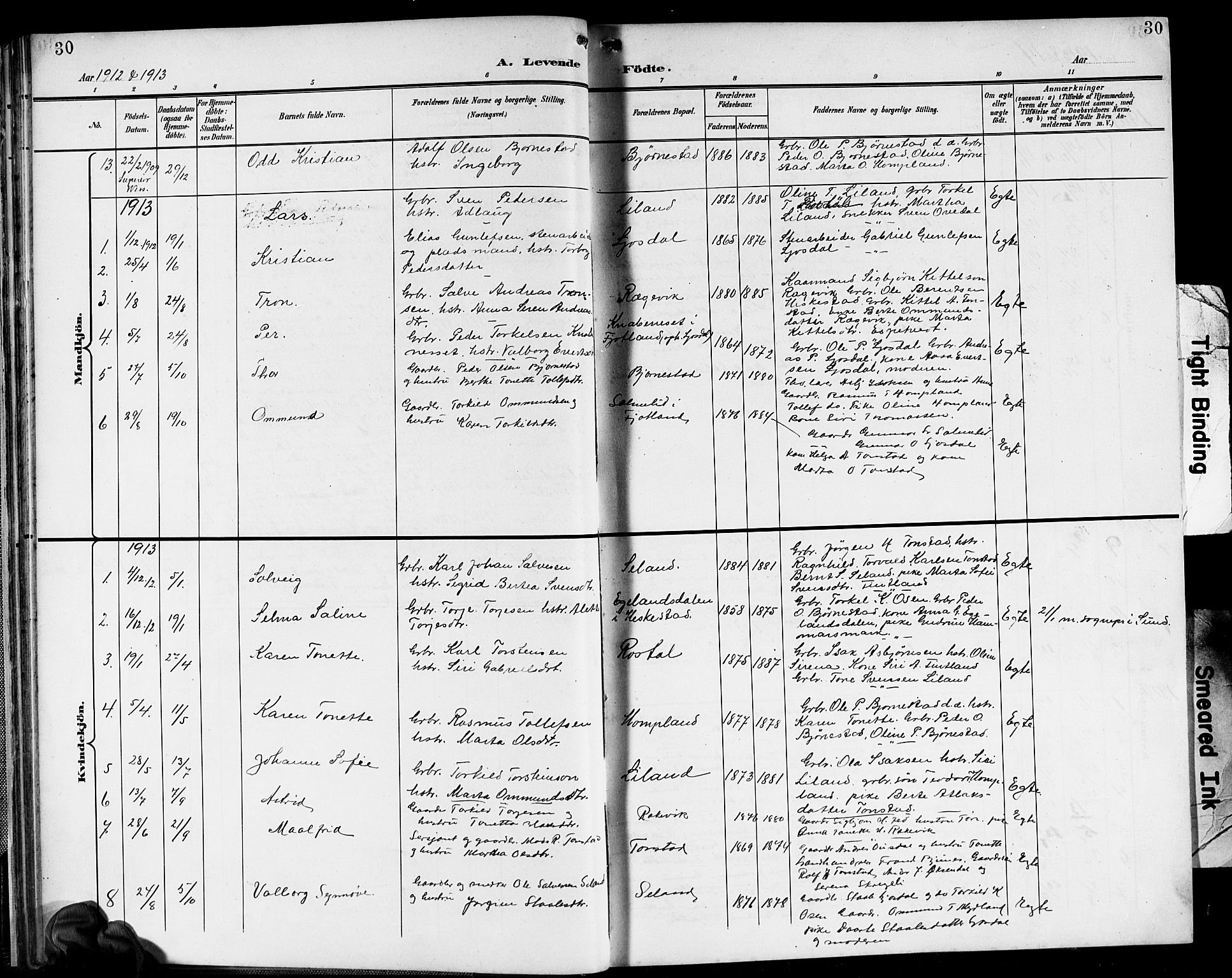 Sirdal sokneprestkontor, SAK/1111-0036/F/Fb/Fbb/L0004: Parish register (copy) no. B 4, 1895-1916, p. 30