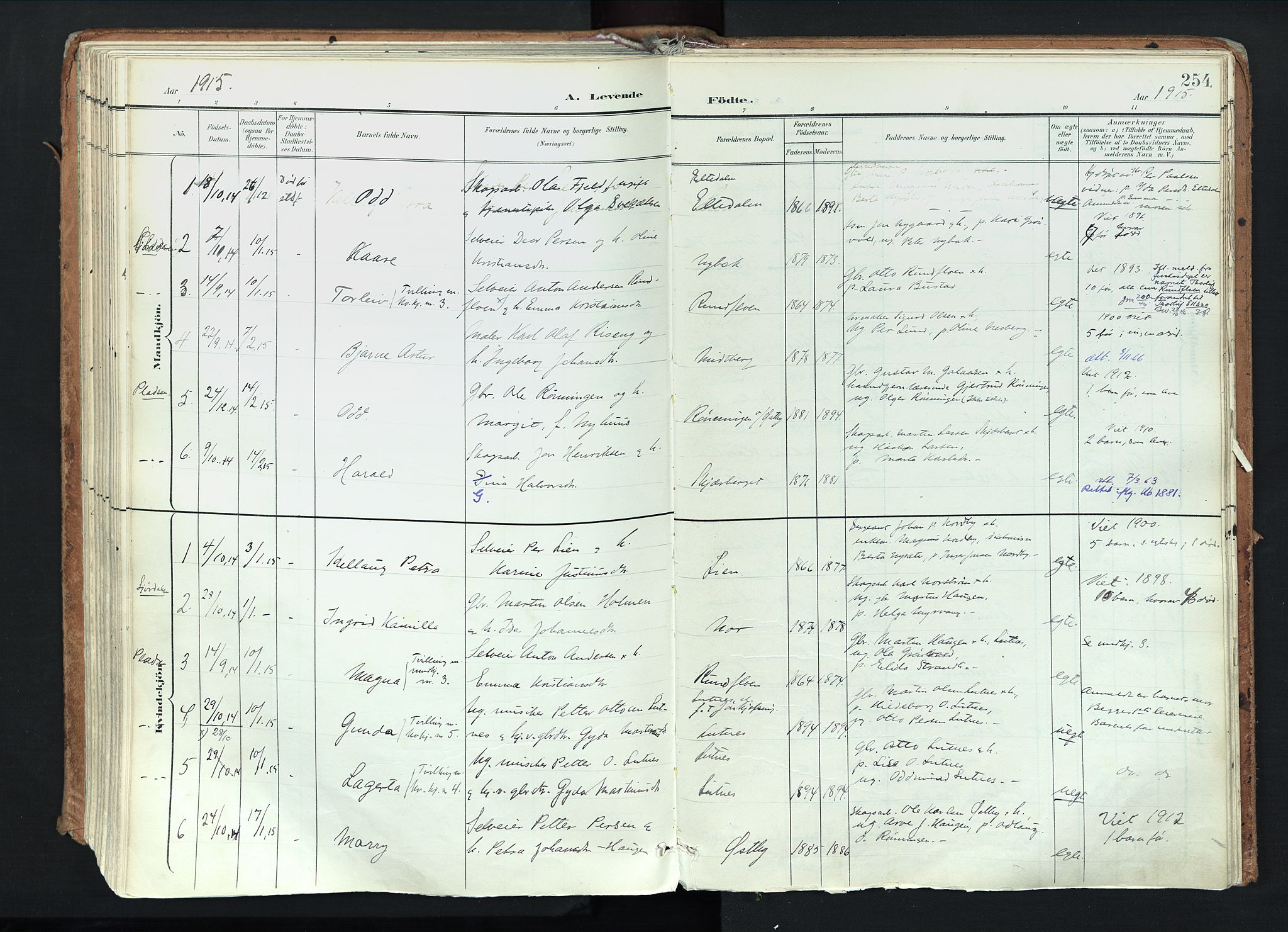 Trysil prestekontor, SAH/PREST-046/H/Ha/Haa/L0012: Parish register (official) no. 12, 1898-1917, p. 254
