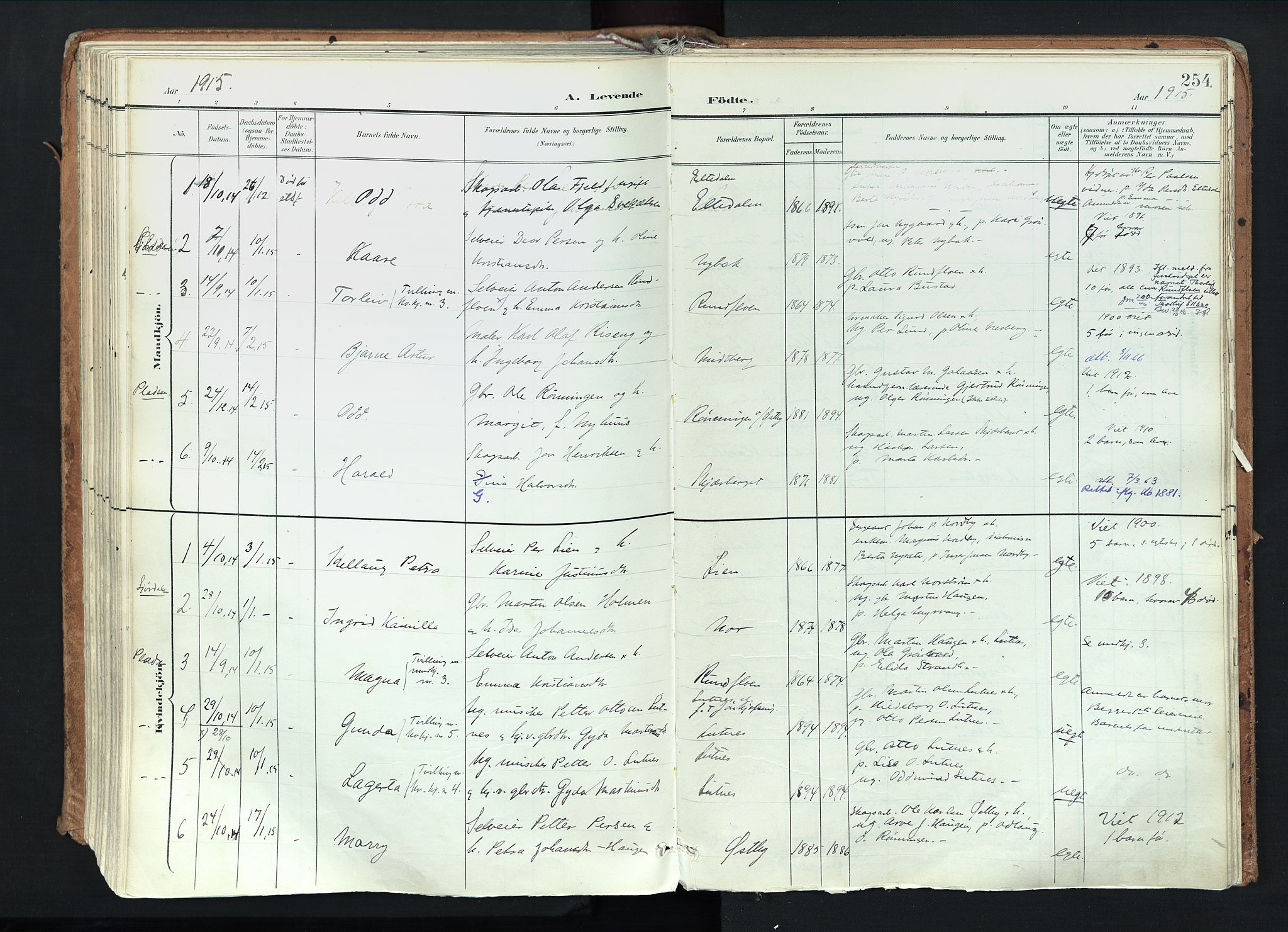 Trysil prestekontor, AV/SAH-PREST-046/H/Ha/Haa/L0012: Parish register (official) no. 12, 1898-1917, p. 254