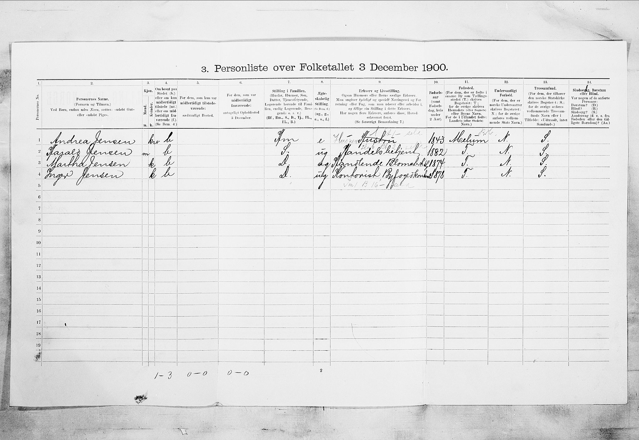 SAKO, 1900 census for Skien, 1900, p. 1007