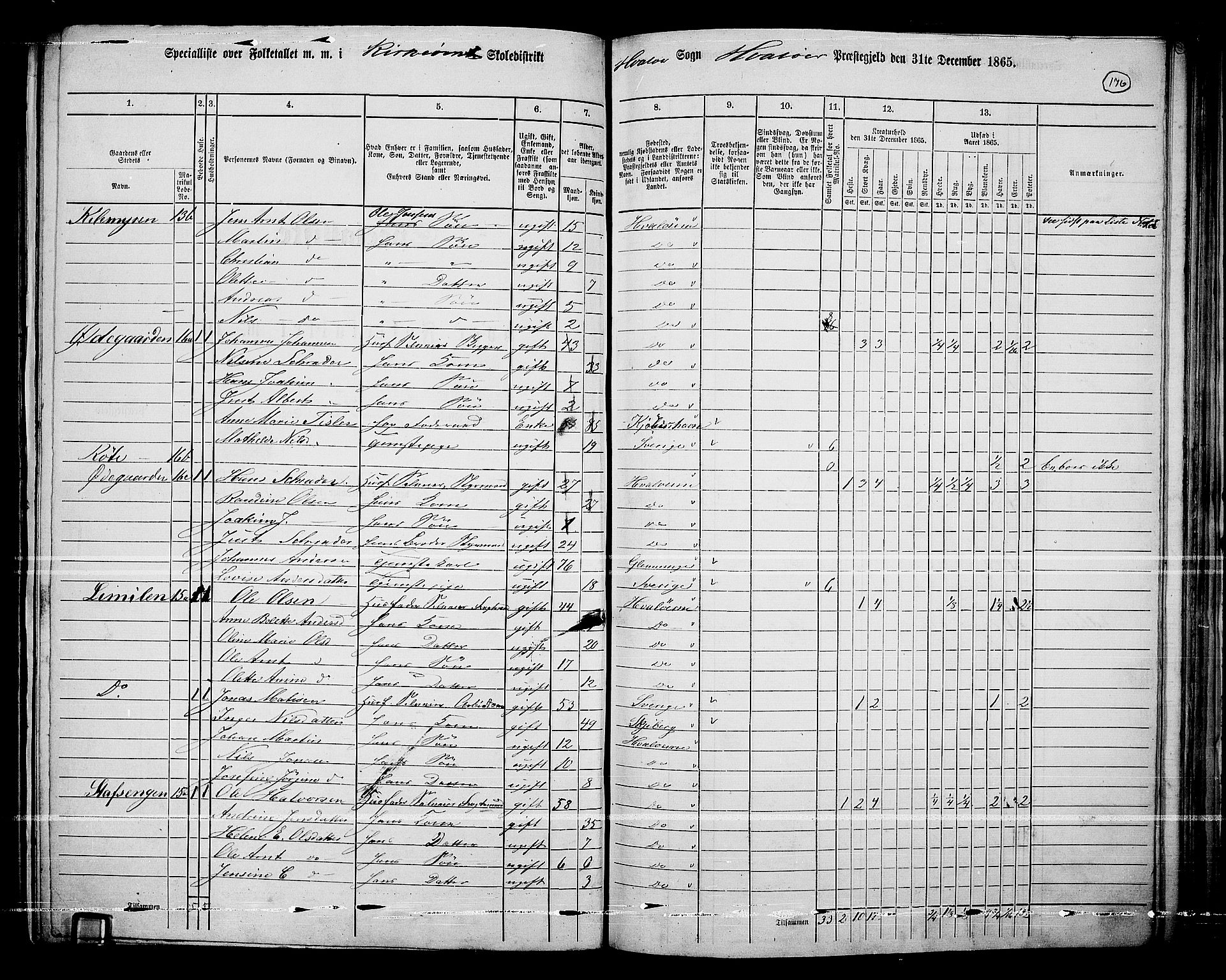 RA, 1865 census for Hvaler, 1865, p. 19