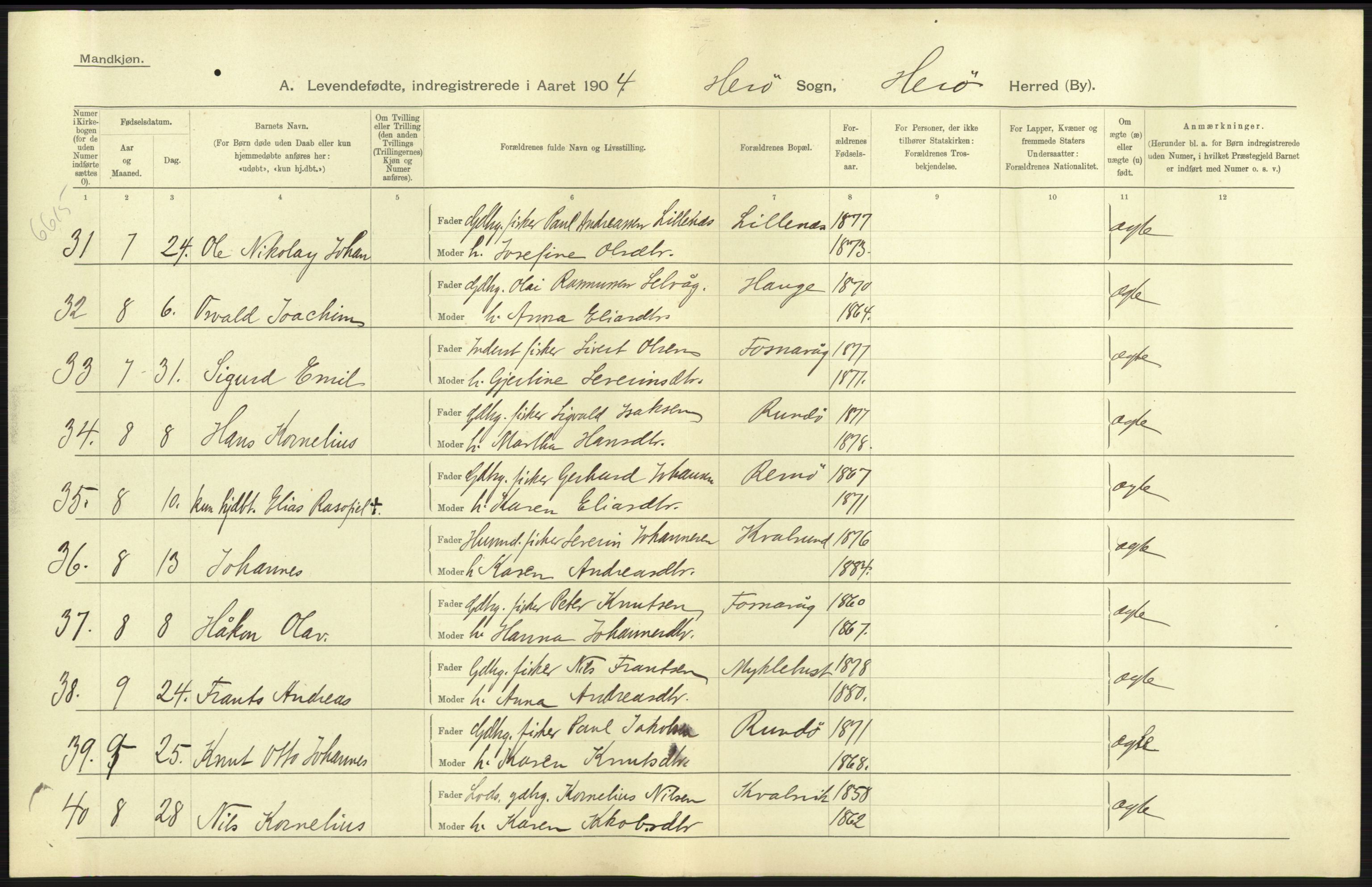 Statistisk sentralbyrå, Sosiodemografiske emner, Befolkning, AV/RA-S-2228/D/Df/Dfa/Dfab/L0016: Romsdals amt: Fødte, gifte, døde., 1904, p. 39