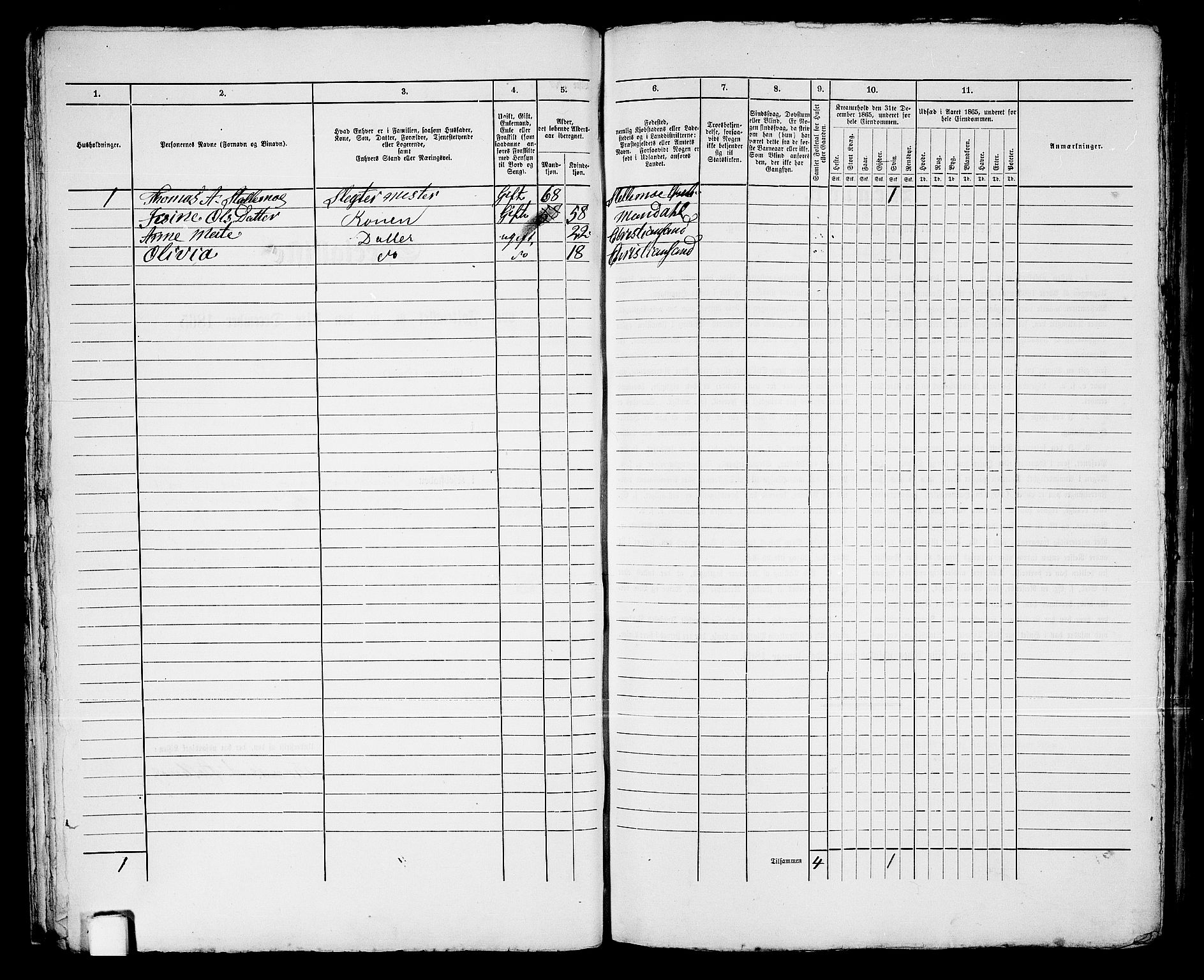 RA, 1865 census for Kristiansand, 1865, p. 1058