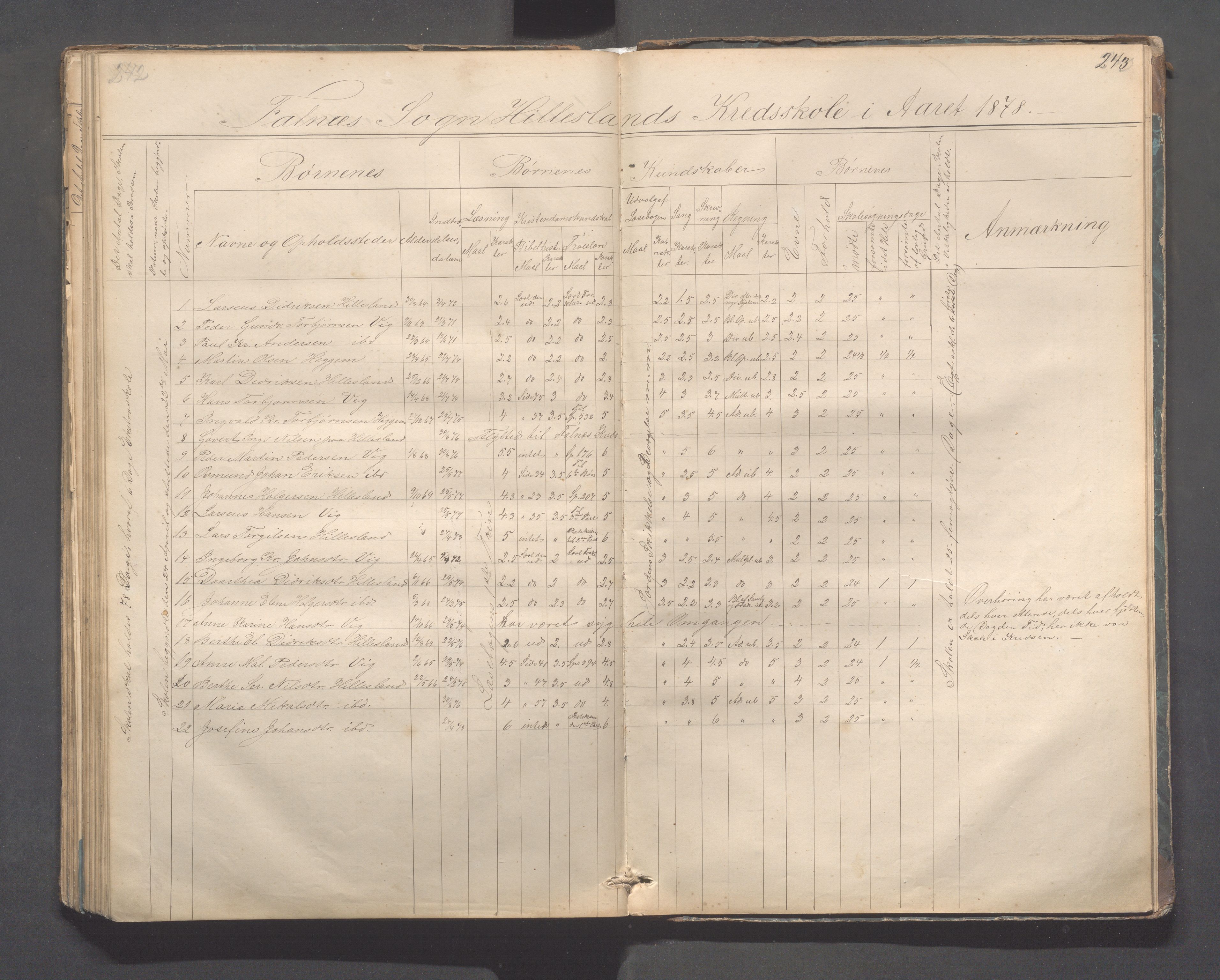 Skudenes kommune - Dale - Hillesland - Snørteland skolekretser, IKAR/A-306/H/L0002: Dale - Hillesland - Snørteland, 1869-1882, p. 242-243