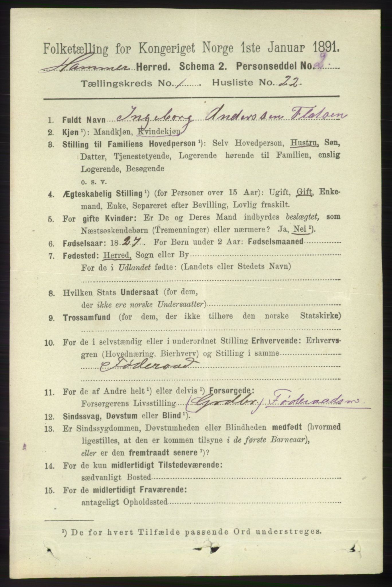 RA, 1891 census for 1254 Hamre, 1891, p. 185