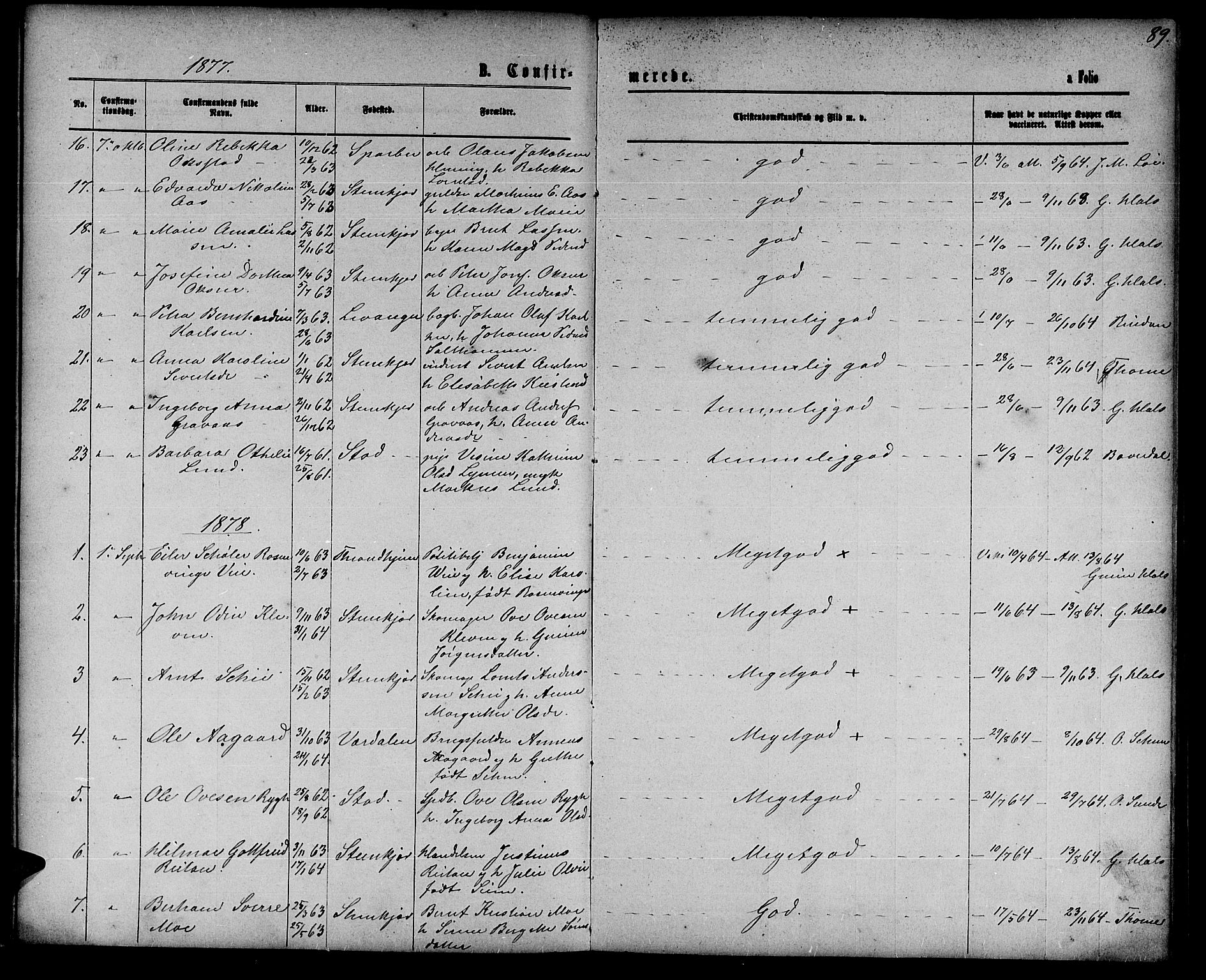 Ministerialprotokoller, klokkerbøker og fødselsregistre - Nord-Trøndelag, AV/SAT-A-1458/739/L0373: Parish register (copy) no. 739C01, 1865-1882, p. 89