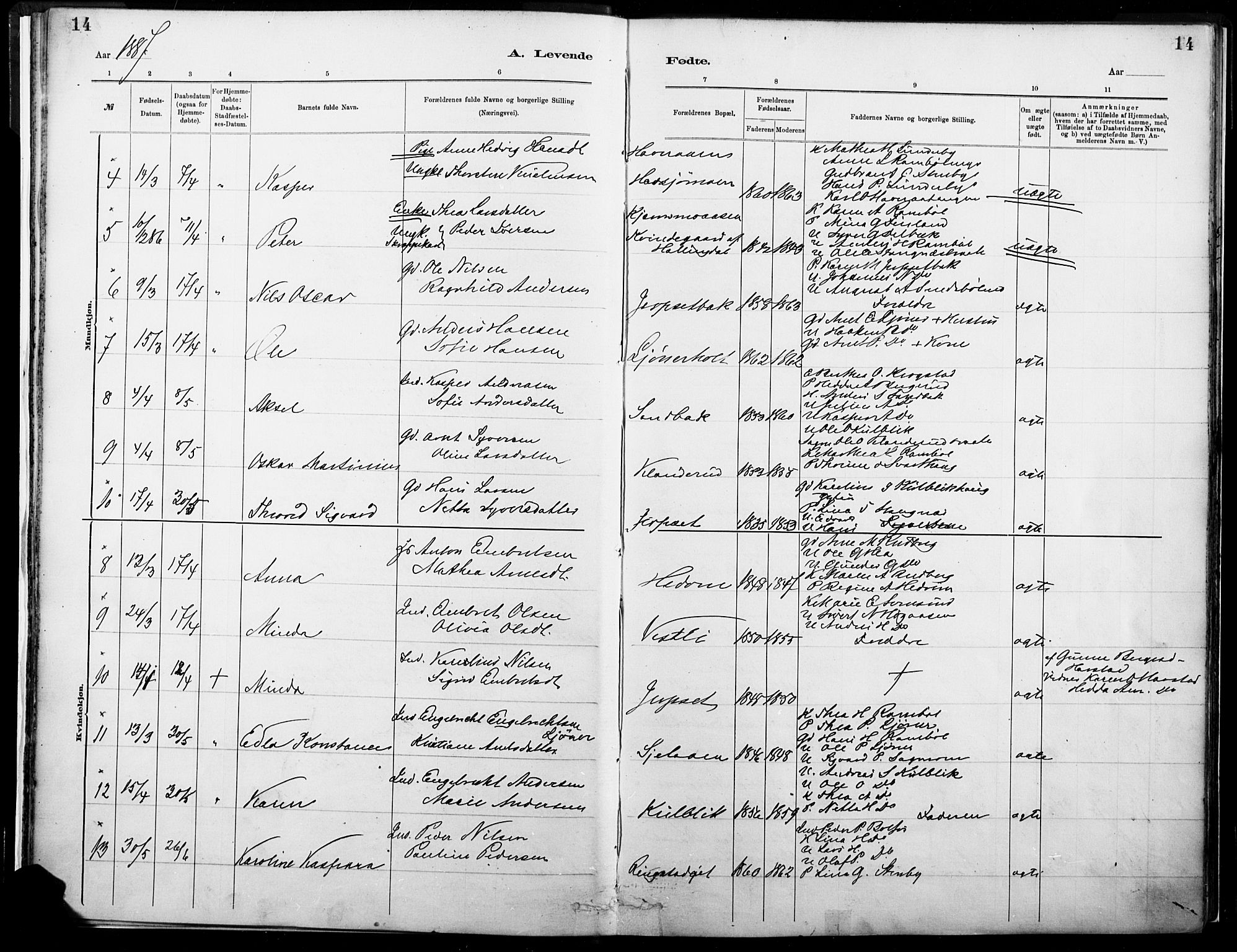 Eidskog prestekontor, SAH/PREST-026/H/Ha/Haa/L0004: Parish register (official) no. 4, 1884-1897, p. 14