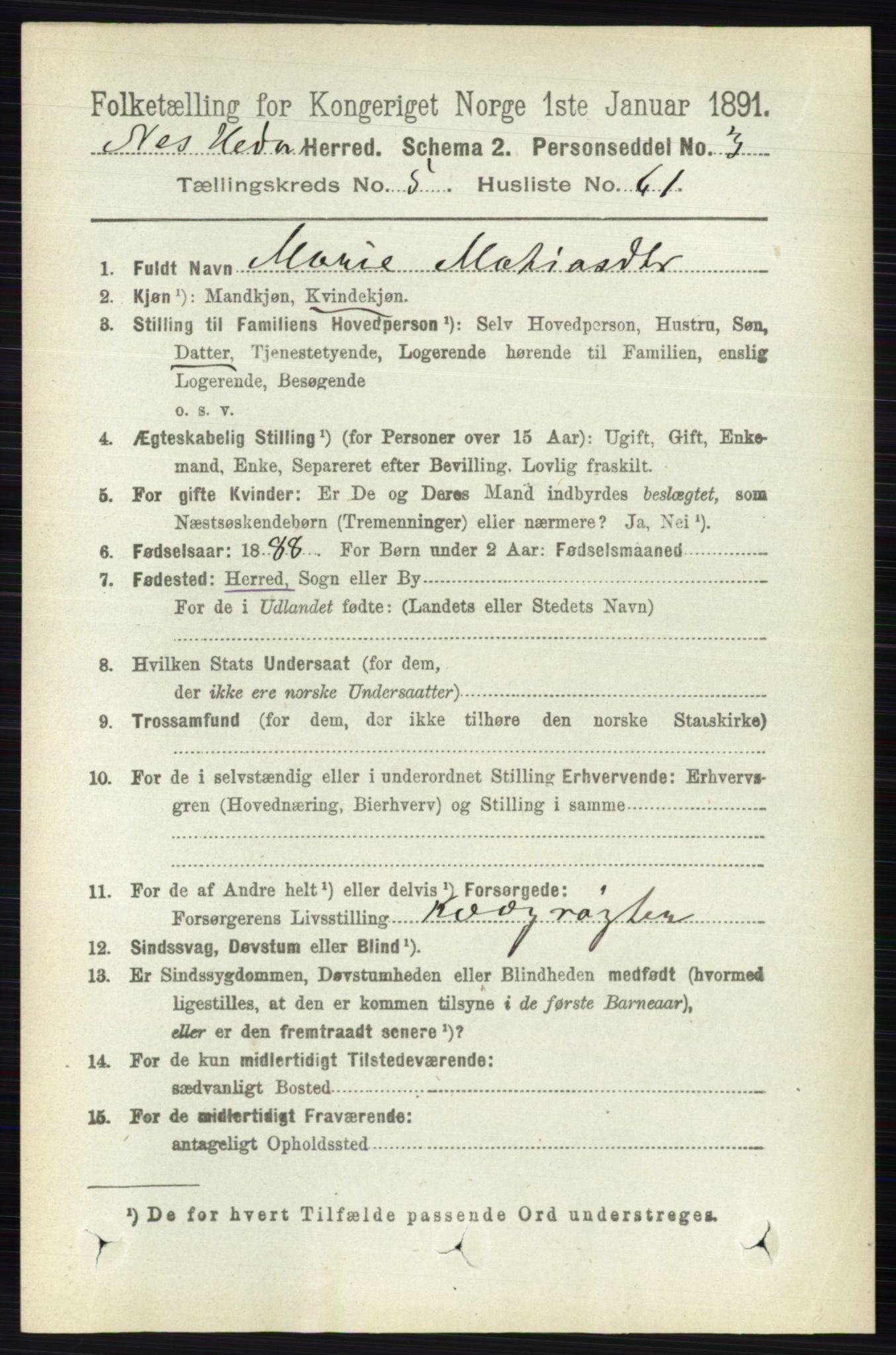 RA, 1891 census for 0411 Nes, 1891, p. 3000