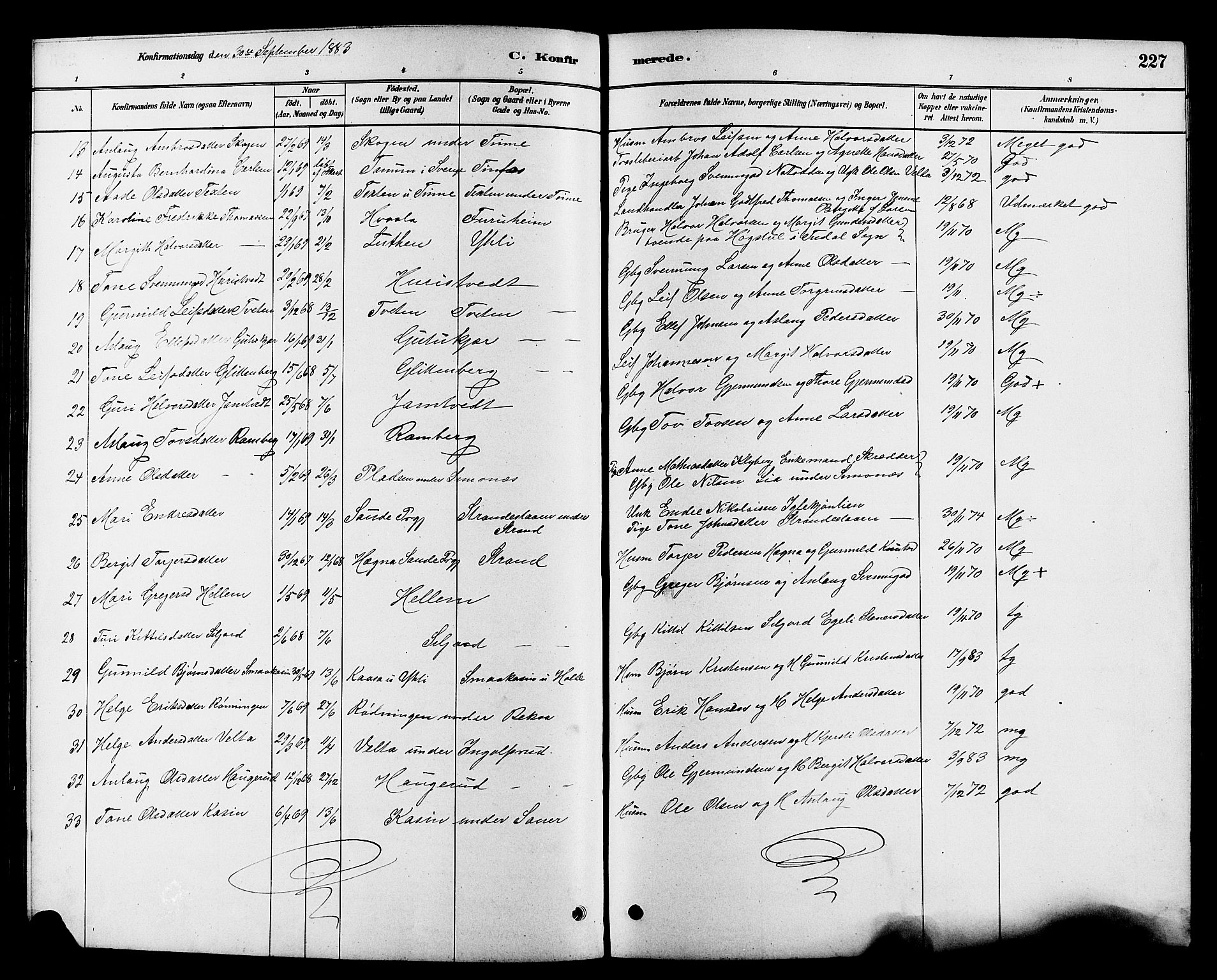 Heddal kirkebøker, SAKO/A-268/G/Ga/L0002: Parish register (copy) no. I 2, 1879-1908, p. 227