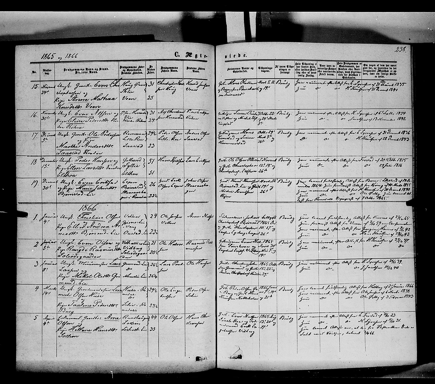 Stange prestekontor, SAH/PREST-002/K/L0013: Parish register (official) no. 13, 1862-1879, p. 238