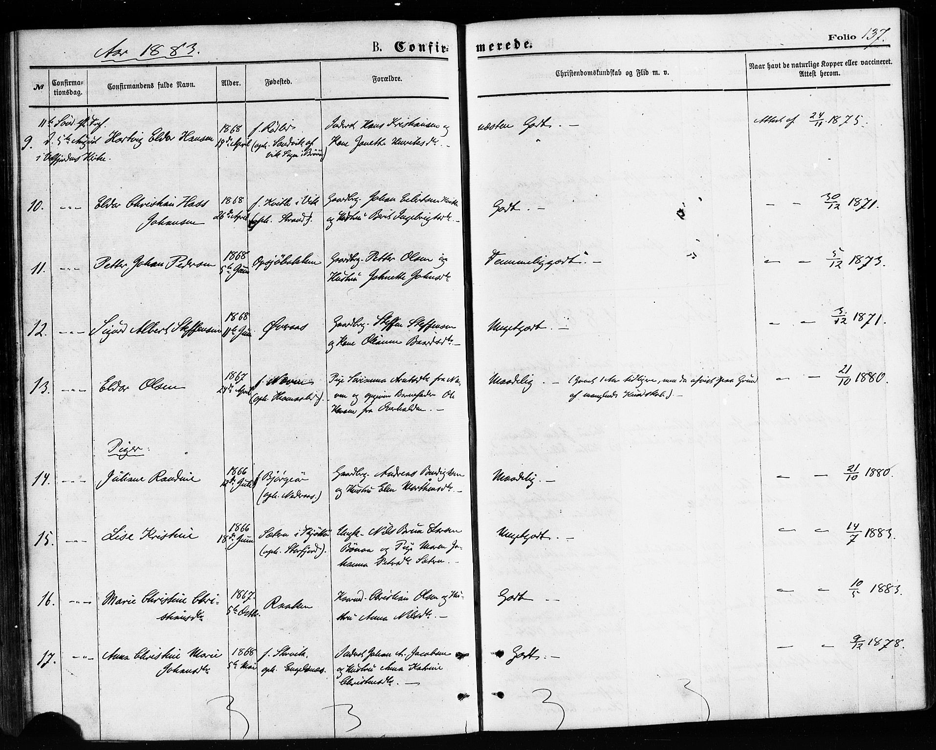 Ministerialprotokoller, klokkerbøker og fødselsregistre - Nordland, AV/SAT-A-1459/814/L0225: Parish register (official) no. 814A06, 1875-1885, p. 137