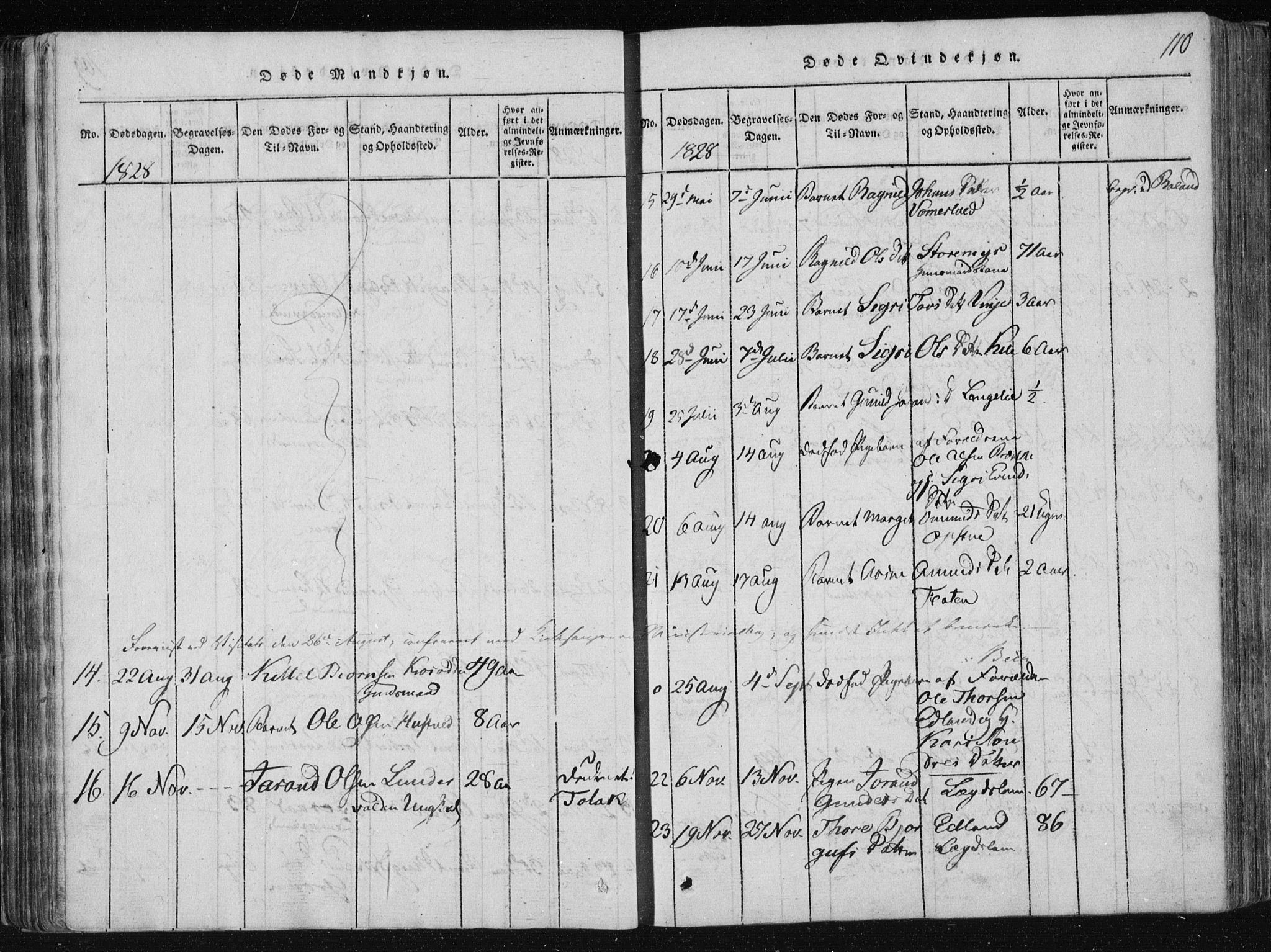 Vinje kirkebøker, SAKO/A-312/F/Fa/L0003: Parish register (official) no. I 3, 1814-1843, p. 110
