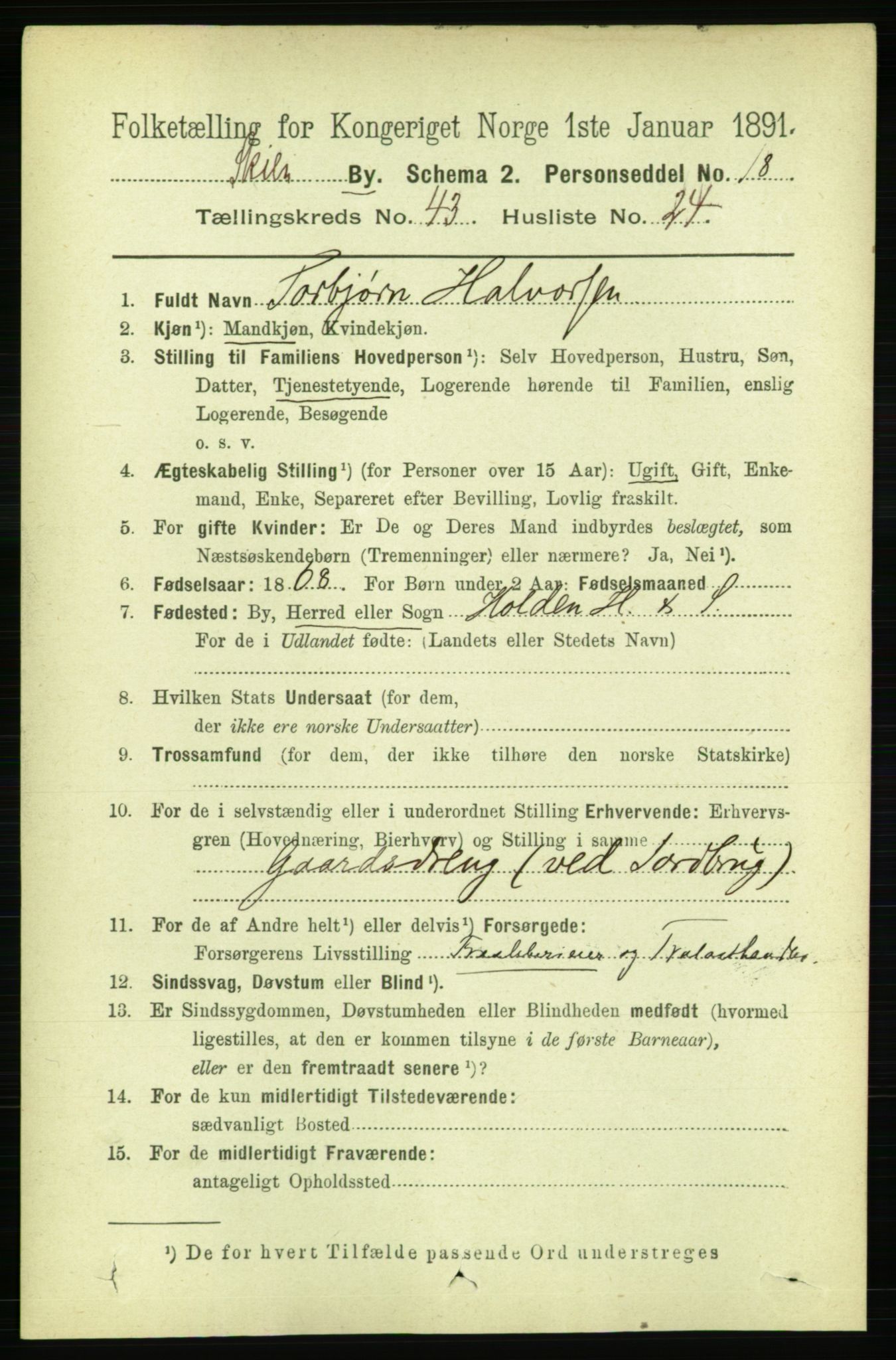 RA, 1891 census for 0806 Skien, 1891, p. 8764