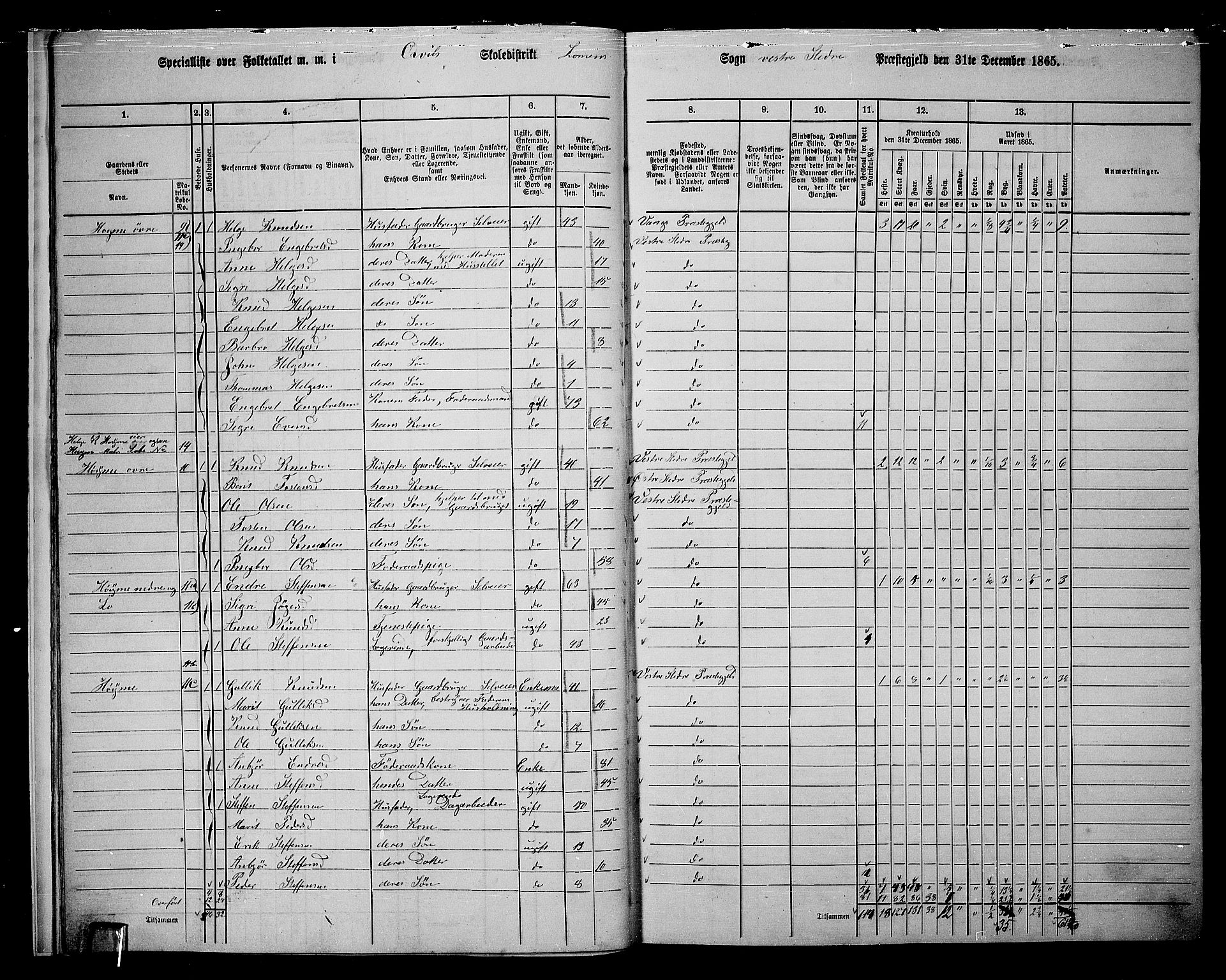 RA, 1865 census for Vestre Slidre, 1865, p. 14