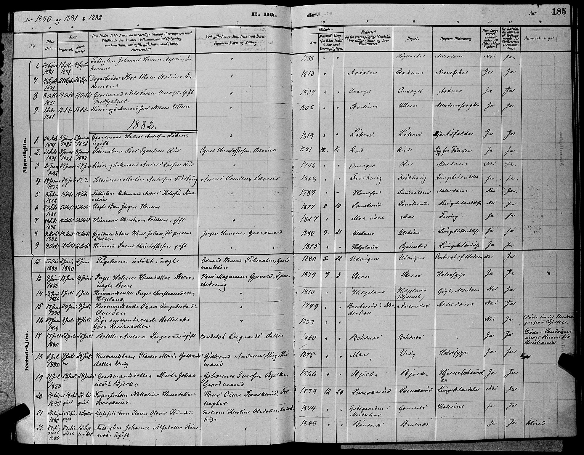 Hole kirkebøker, SAKO/A-228/G/Ga/L0003: Parish register (copy) no. I 3, 1879-1904, p. 185