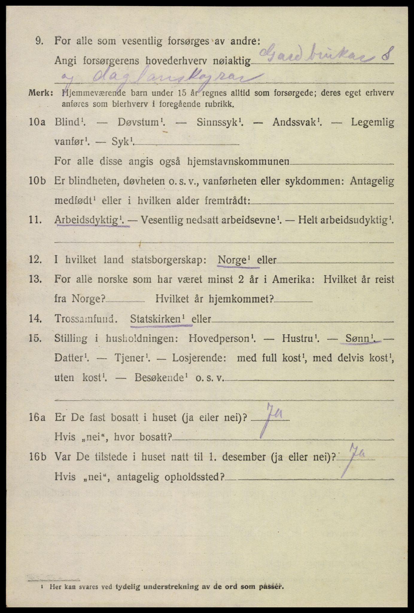 SAK, 1920 census for Hornnes, 1920, p. 816