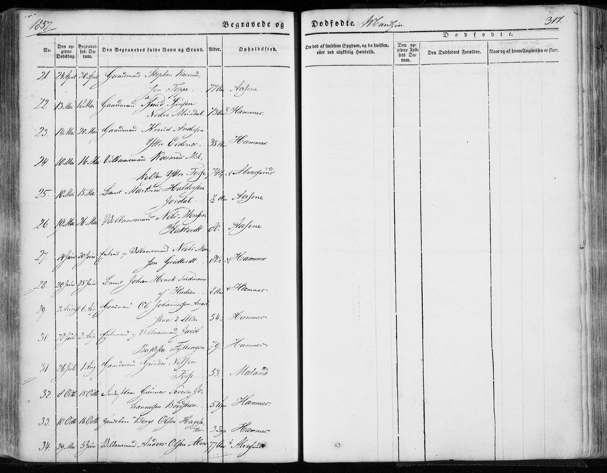 Hamre sokneprestembete, AV/SAB-A-75501/H/Ha/Haa/Haaa/L0013: Parish register (official) no. A 13, 1846-1857, p. 317