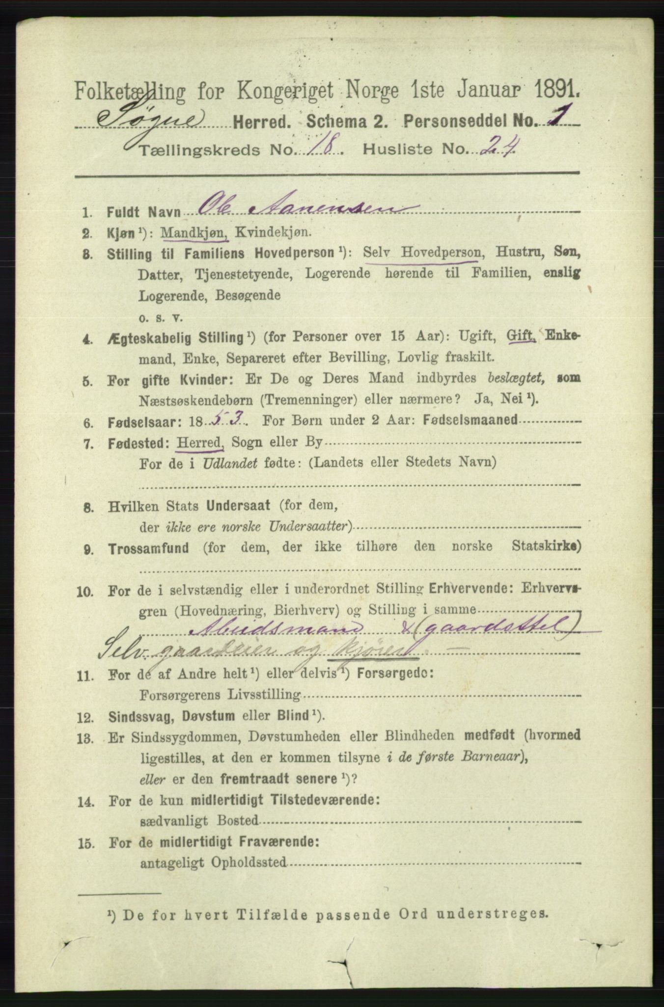 RA, 1891 census for 1018 Søgne, 1891, p. 4862