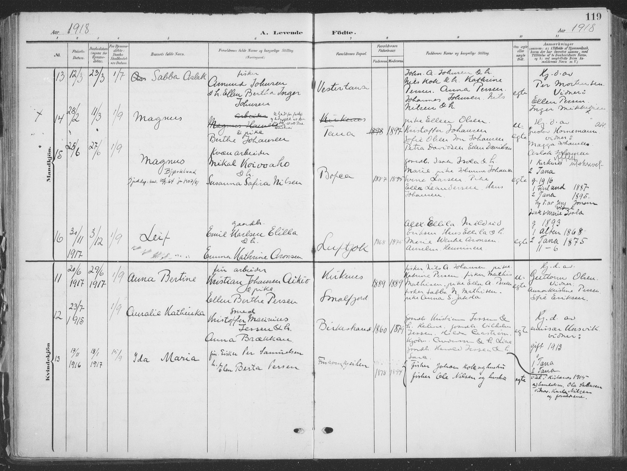 Tana sokneprestkontor, SATØ/S-1334/H/Ha/L0007kirke: Parish register (official) no. 7, 1904-1918, p. 119